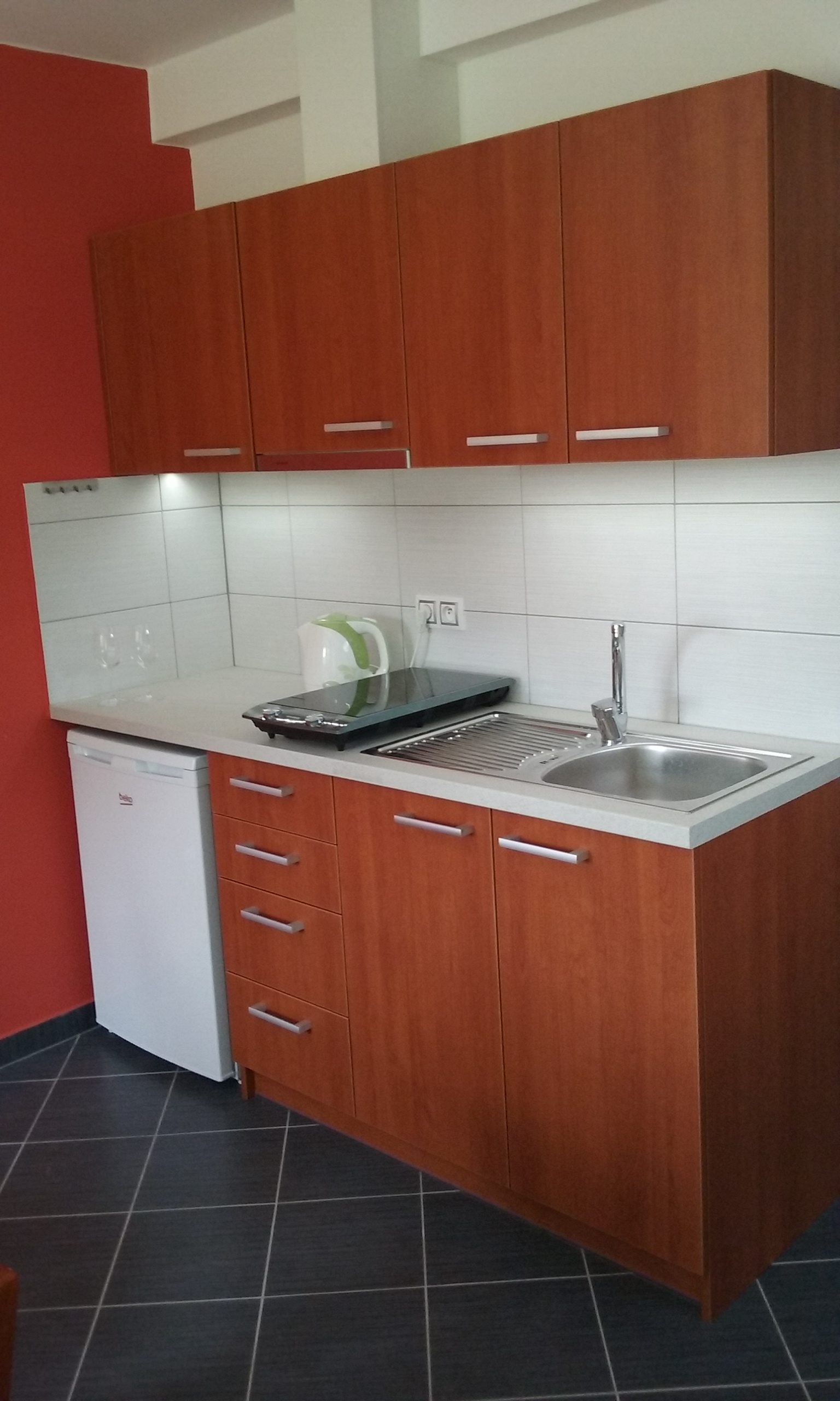 Vinařství a penzion Schwarzava foto 2