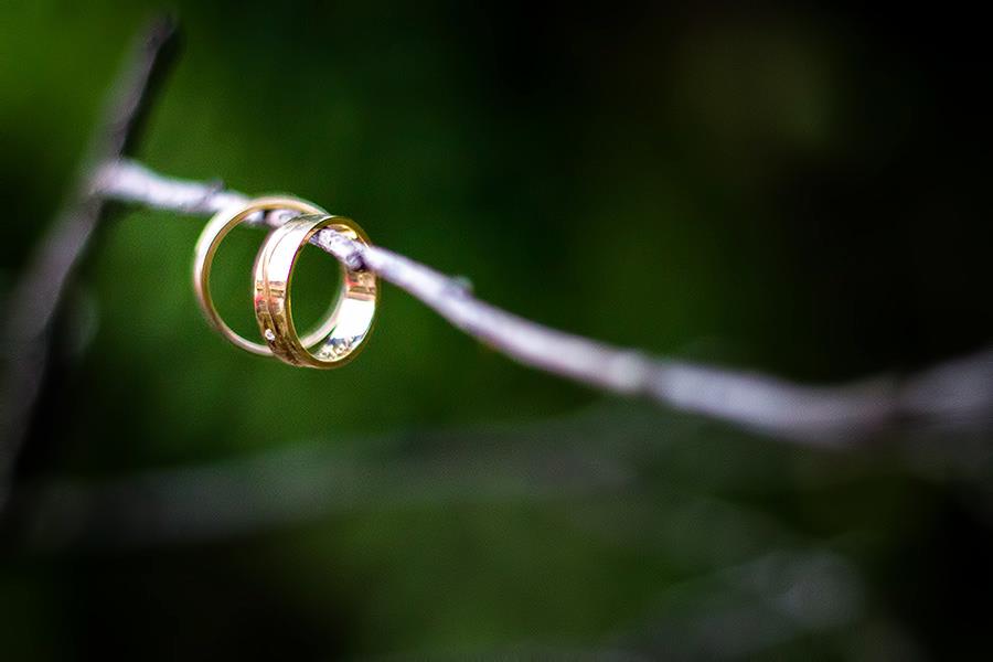 Fotografické služby - Marek Suchý foto 2