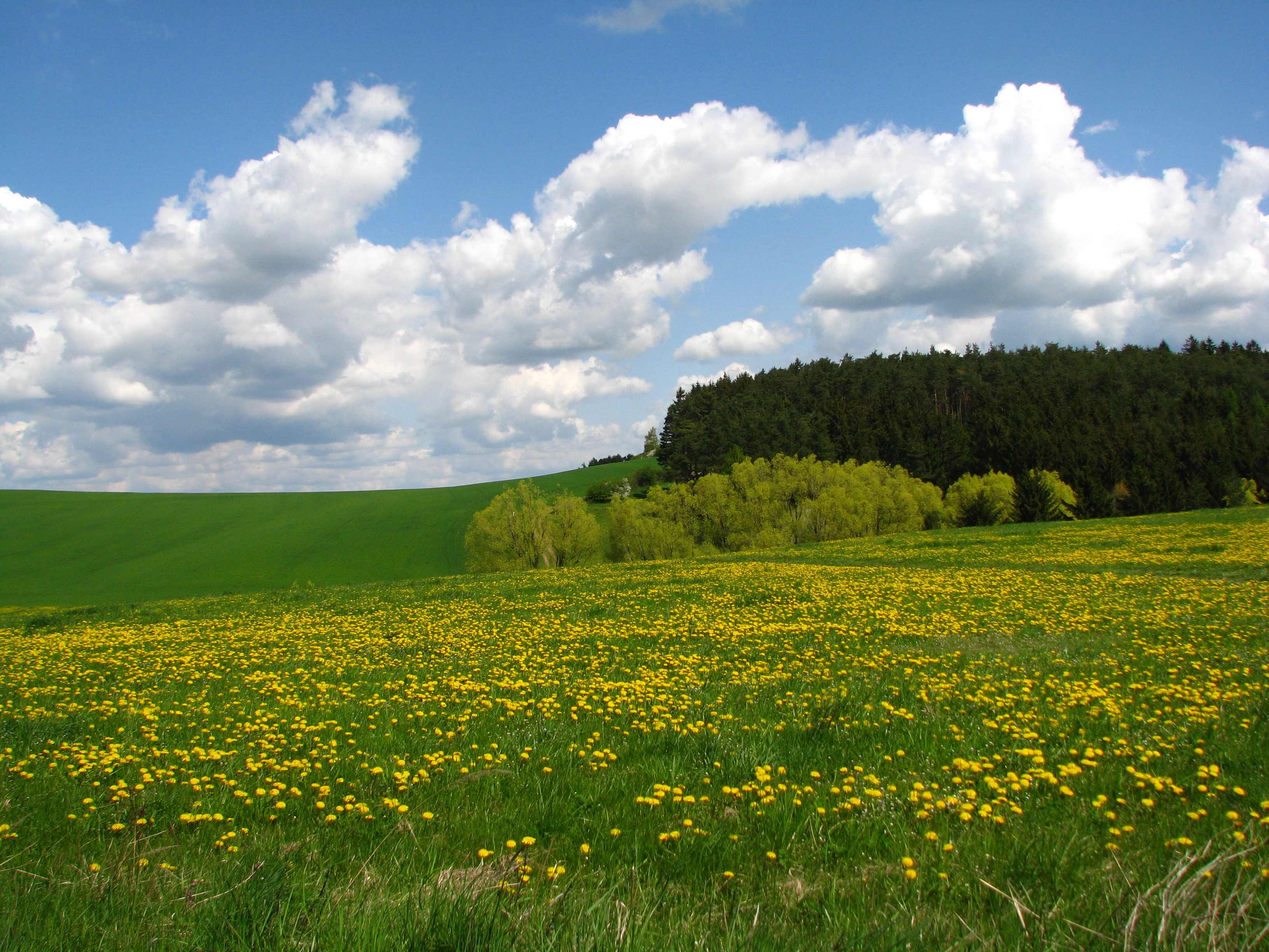 TIPATOUR zájezdy, s.r.o. foto 3