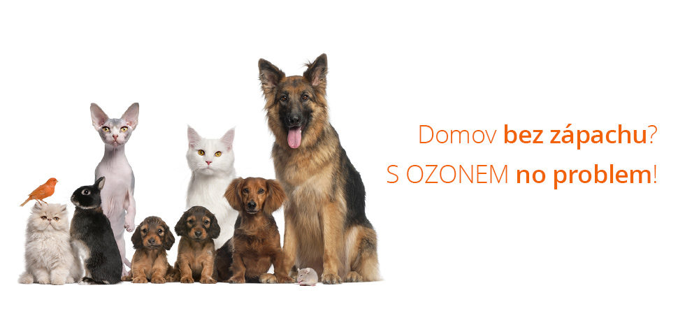 PROFI OZON foto 3