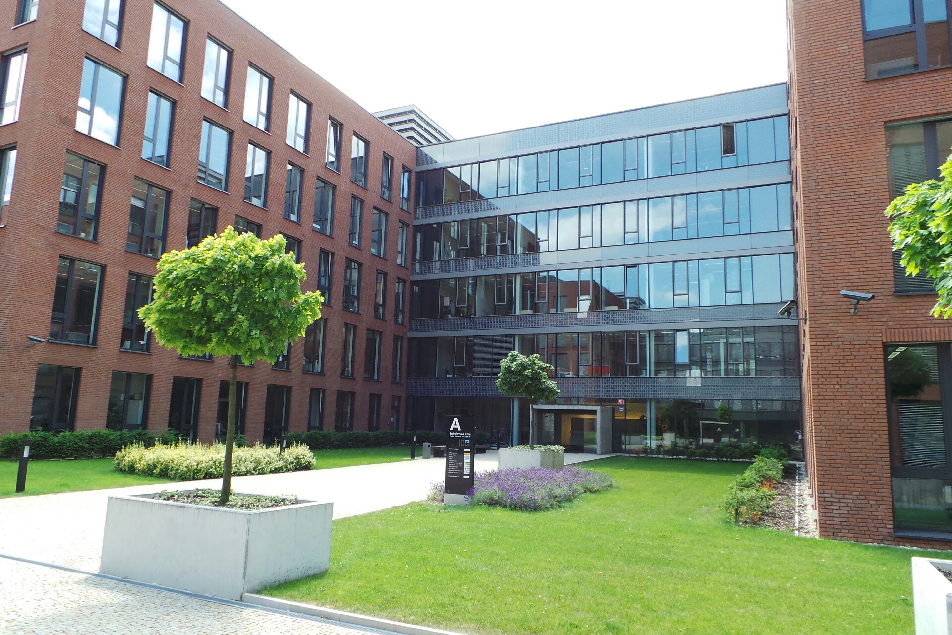 Mercuri International