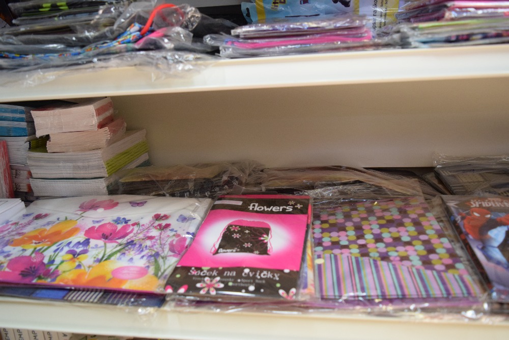 Ayshe Shahin Ahmed foto 3