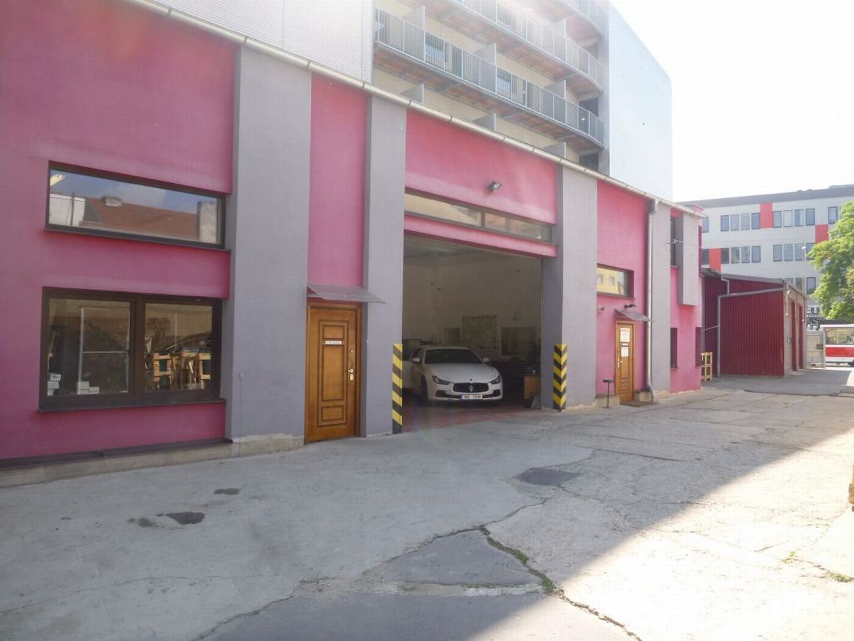 Autosklo LASSY foto 5