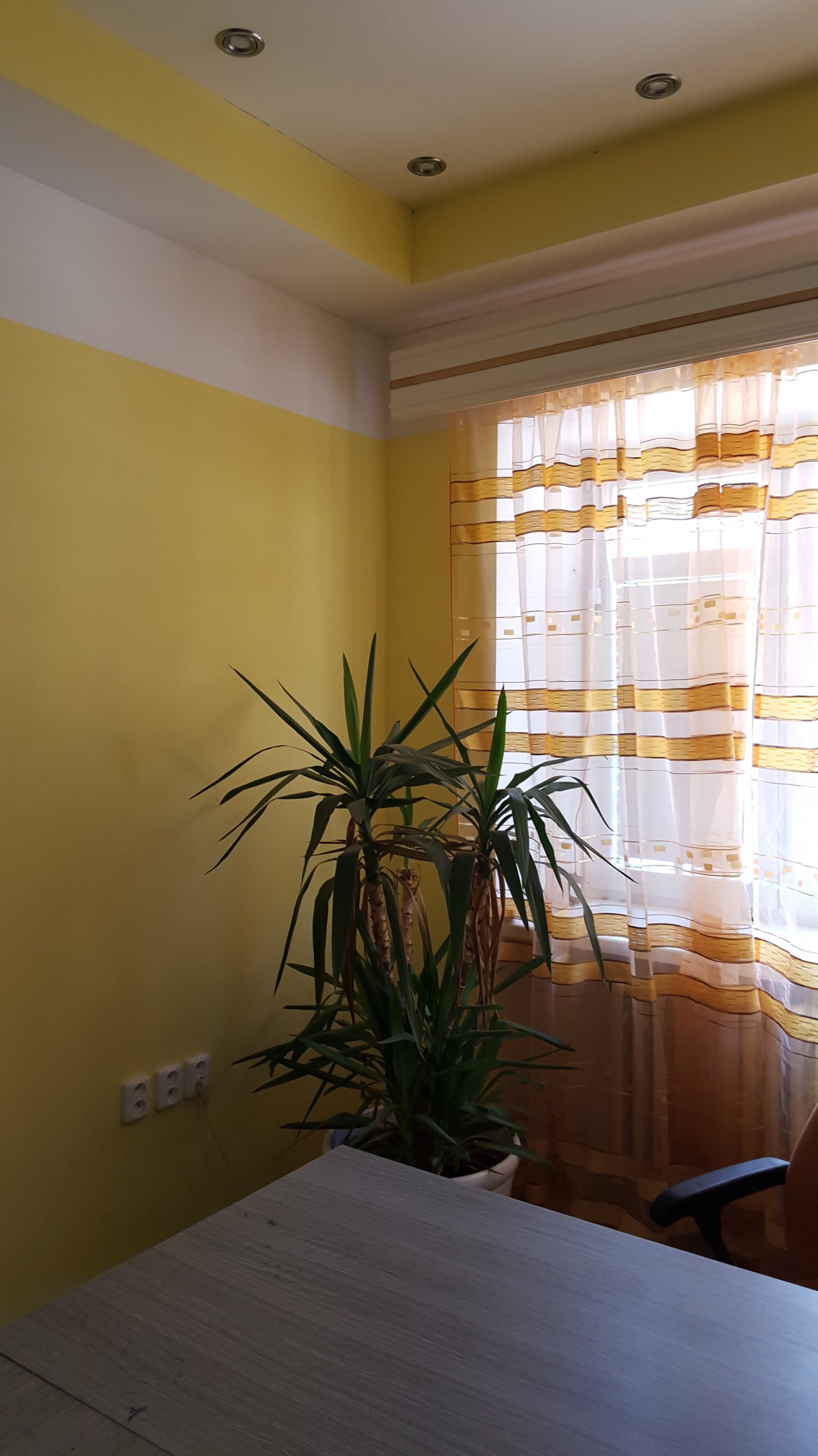 Brádlovi s.r.o. foto 3