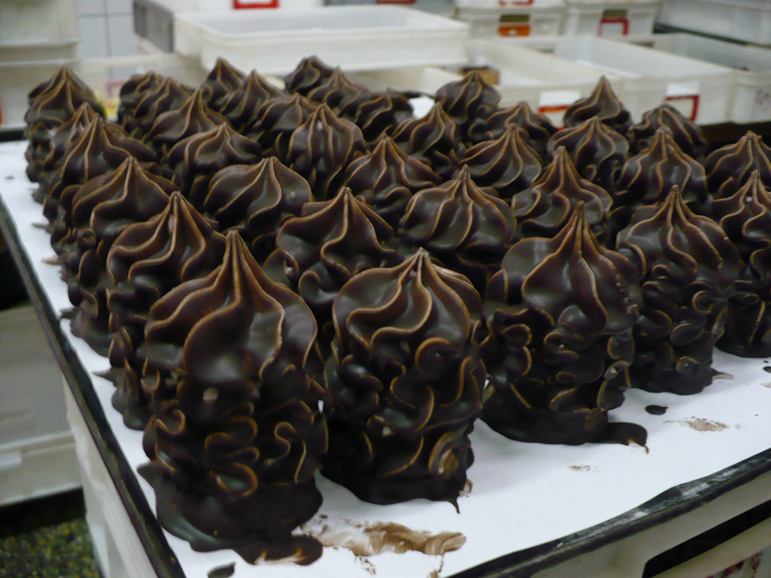 Vlasta Forgáčová foto 4