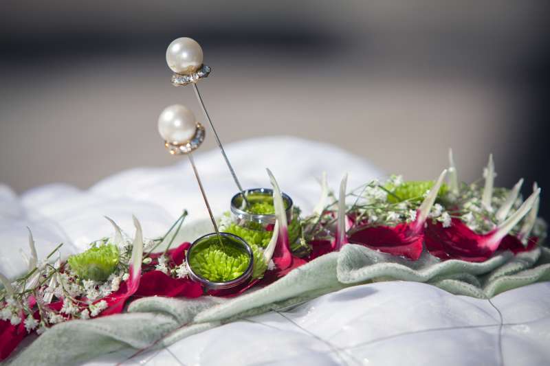 Květiny z Kopretinové foto 4