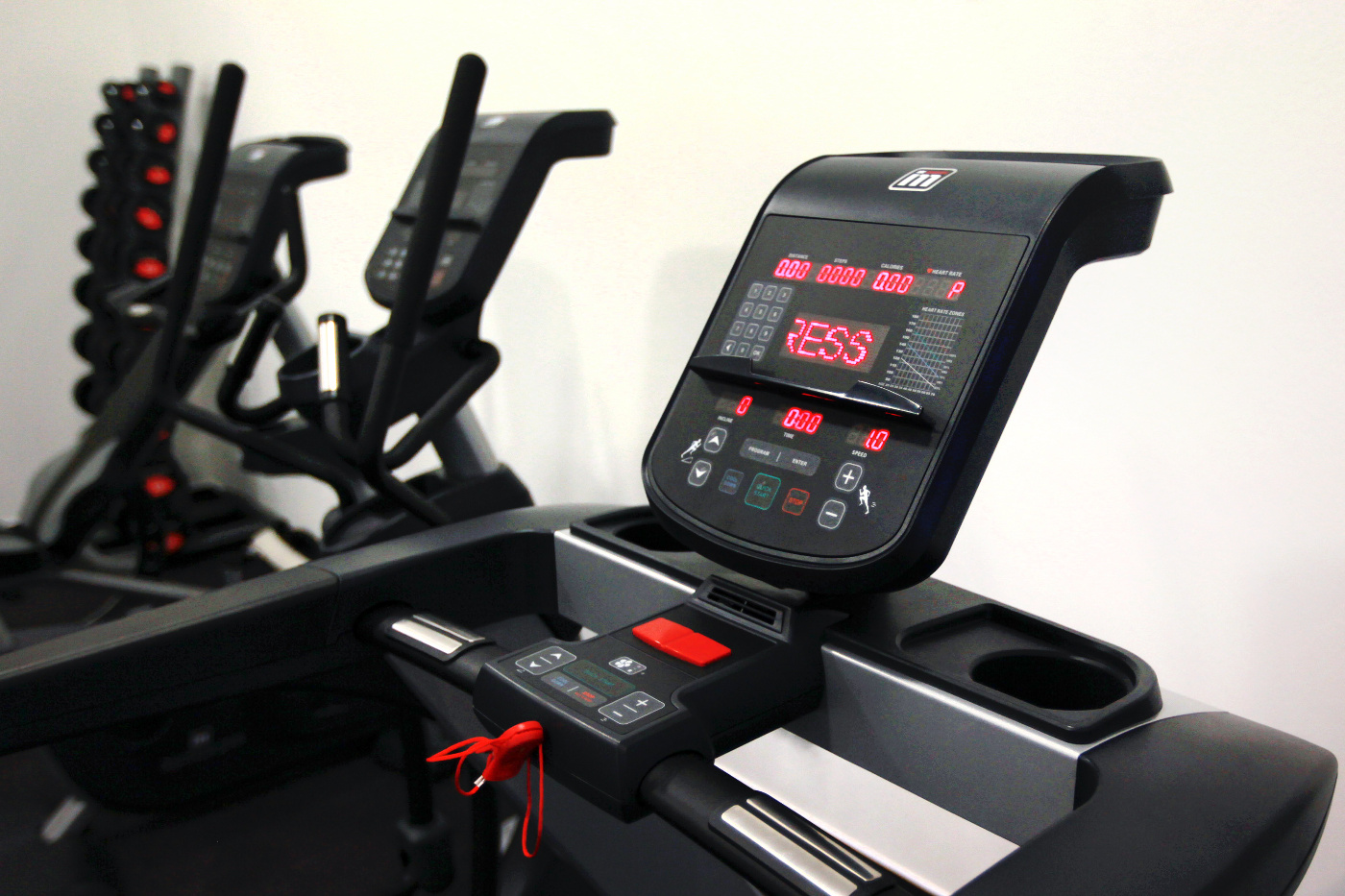 Wellness Hotel Vinice Hnanice foto 4