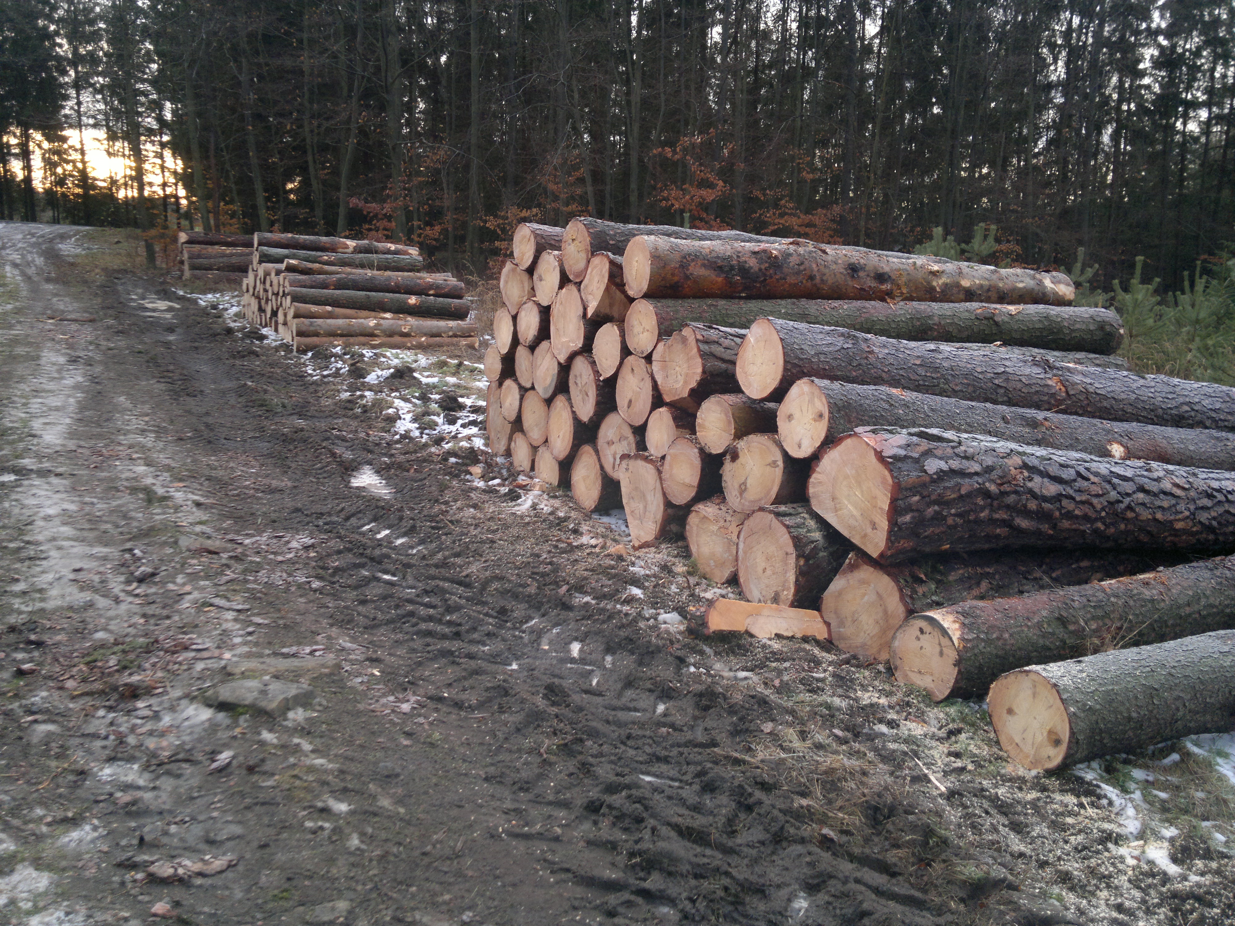 Michal Končel foto 3