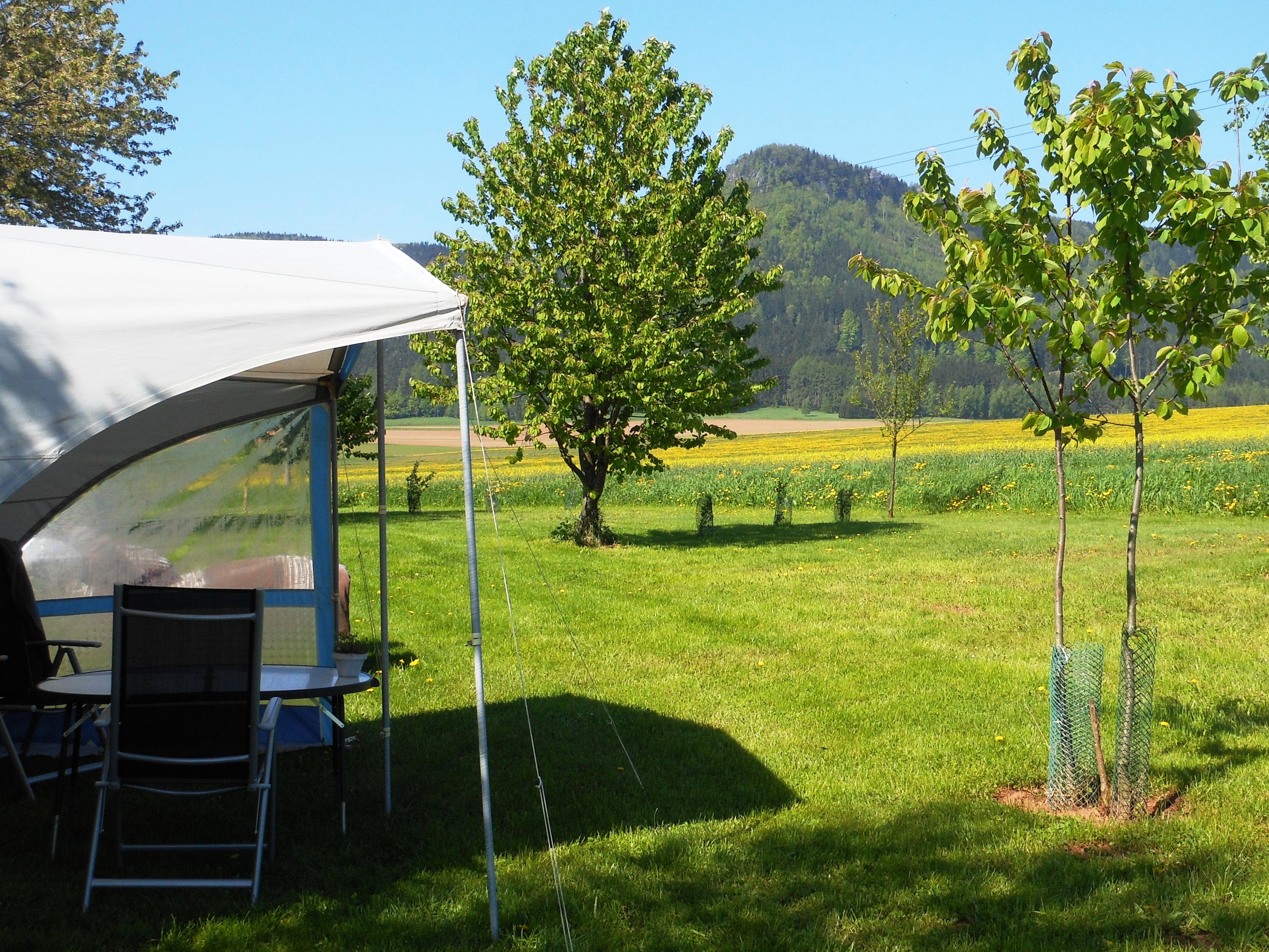 Camping Božanov foto 2