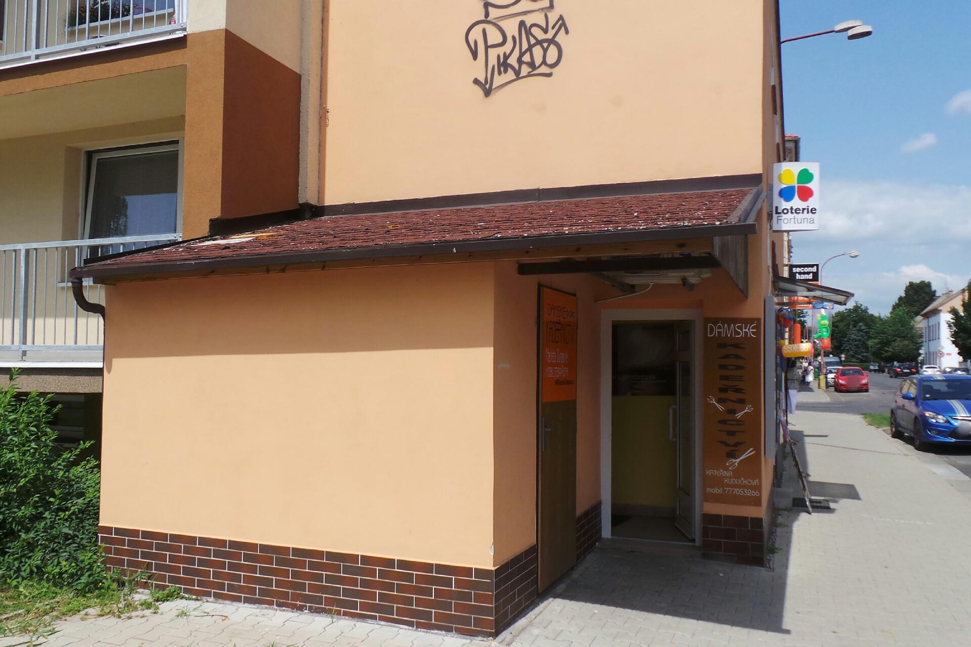 Kateřina Kudličková