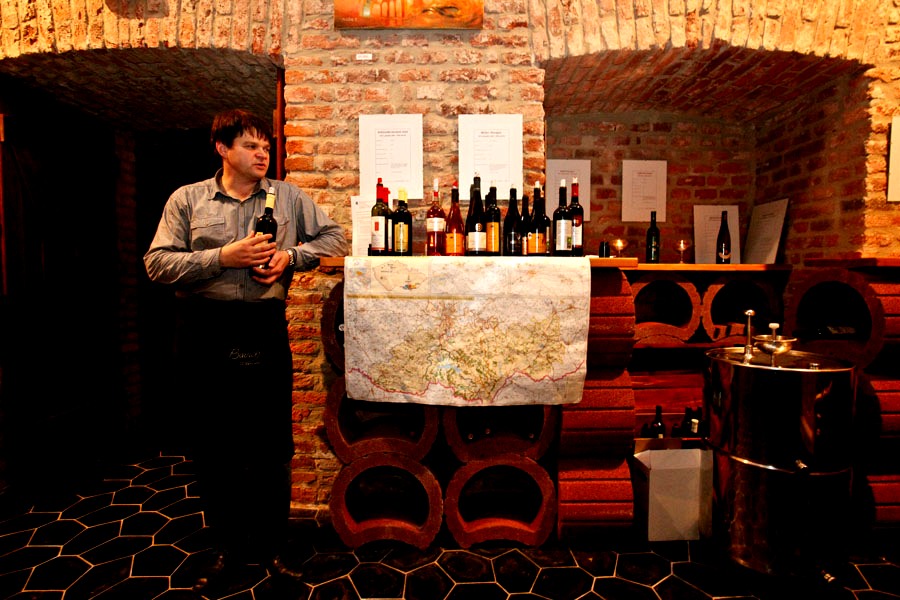 Gallery Winery Máneska foto 2