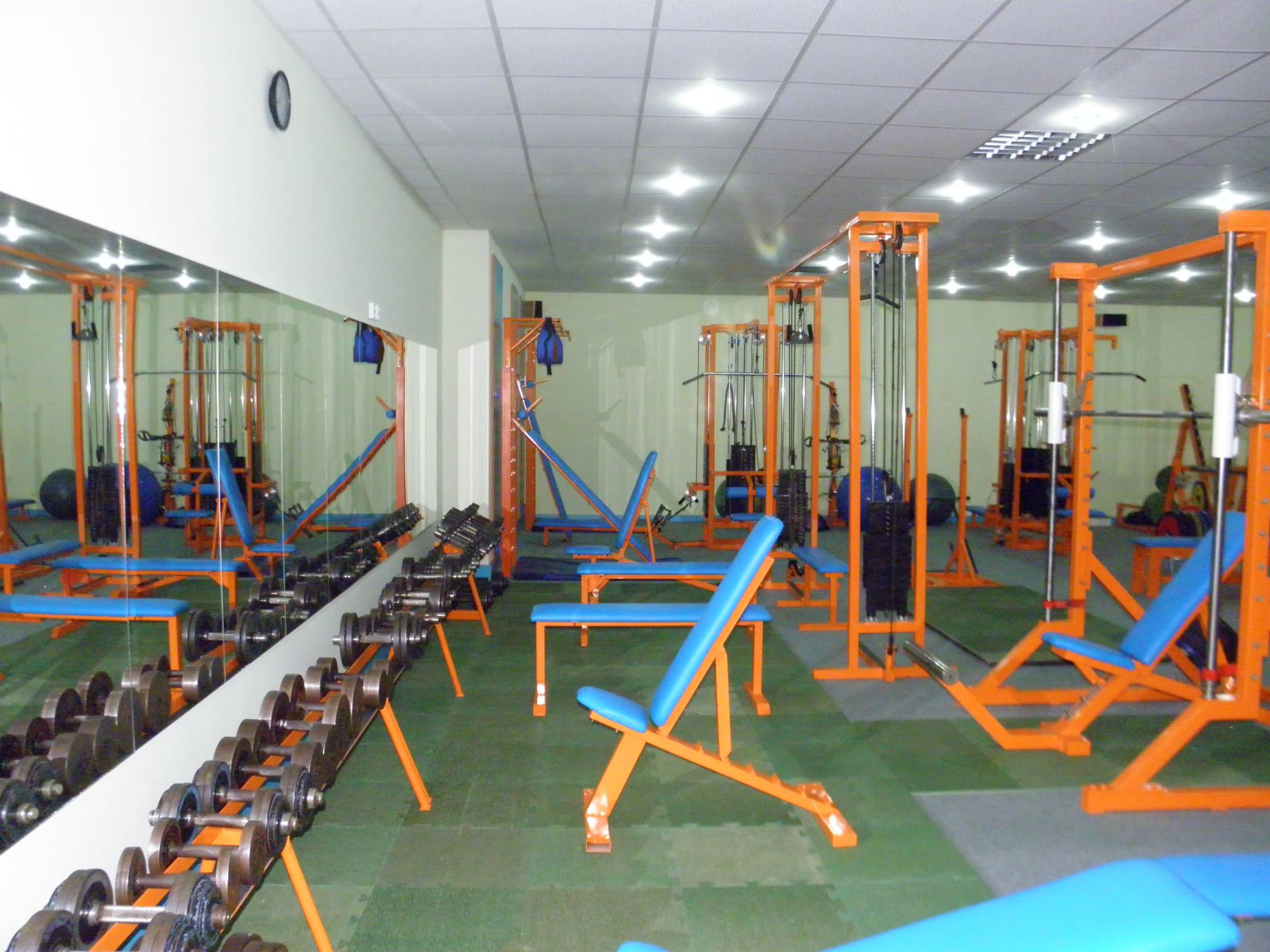 Phoenix GYM foto 5