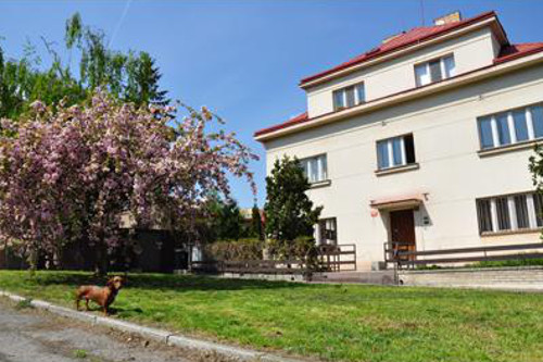 Poradenské centrum aminokyselinové léčby