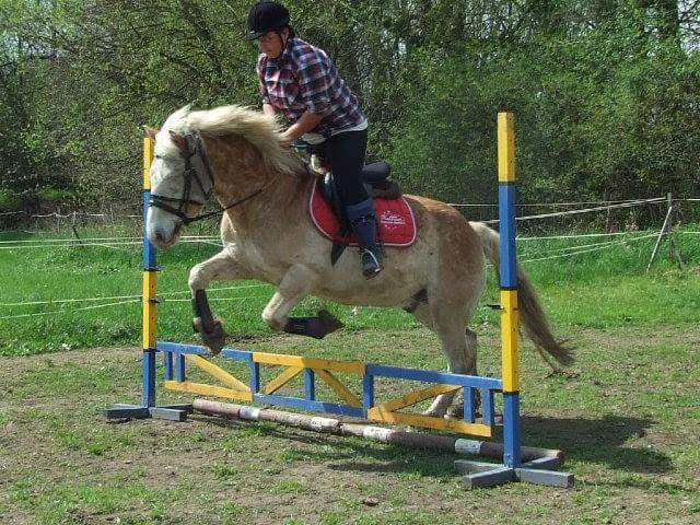 JK Verona foto 4