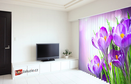 Fotožaluzie.cz foto 2