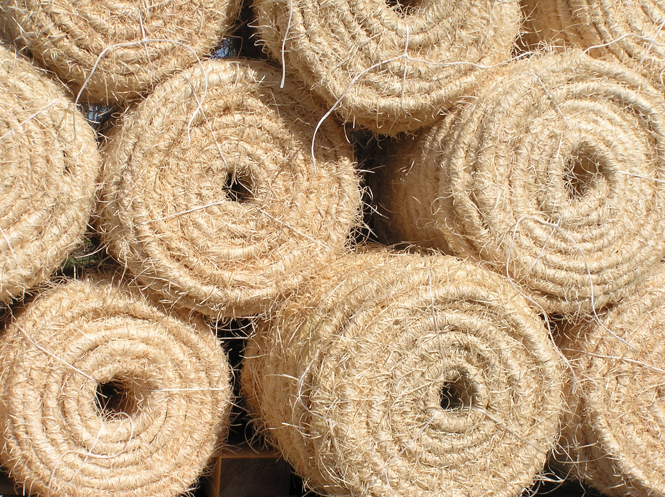 MILOSLAV VLK, DŘEVITÁ VLNA foto 3