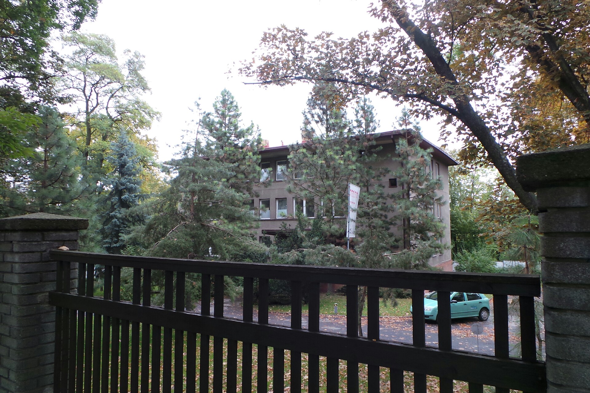 Kateřina Rodríguezová - Škola španělštiny