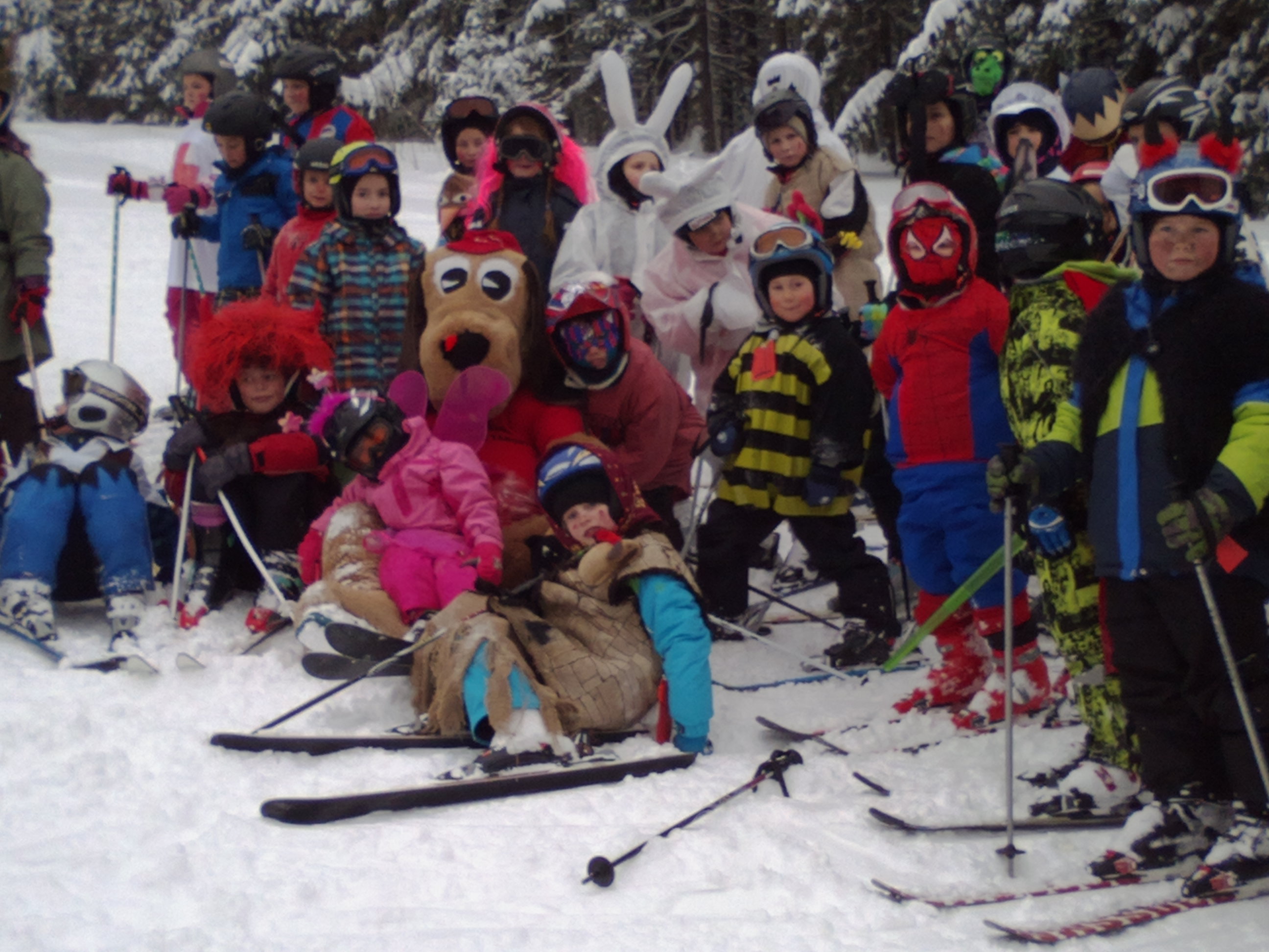 Lyžařská škola ALPINKA foto 4