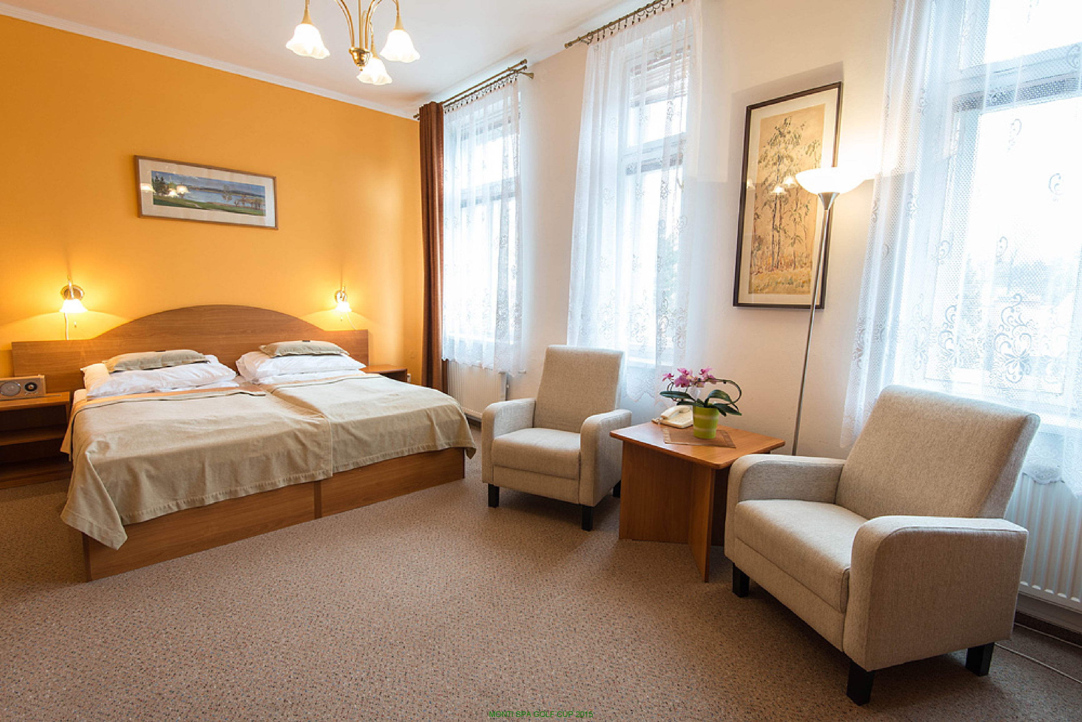 MONTI SPA  Františkovy Lázně foto 4