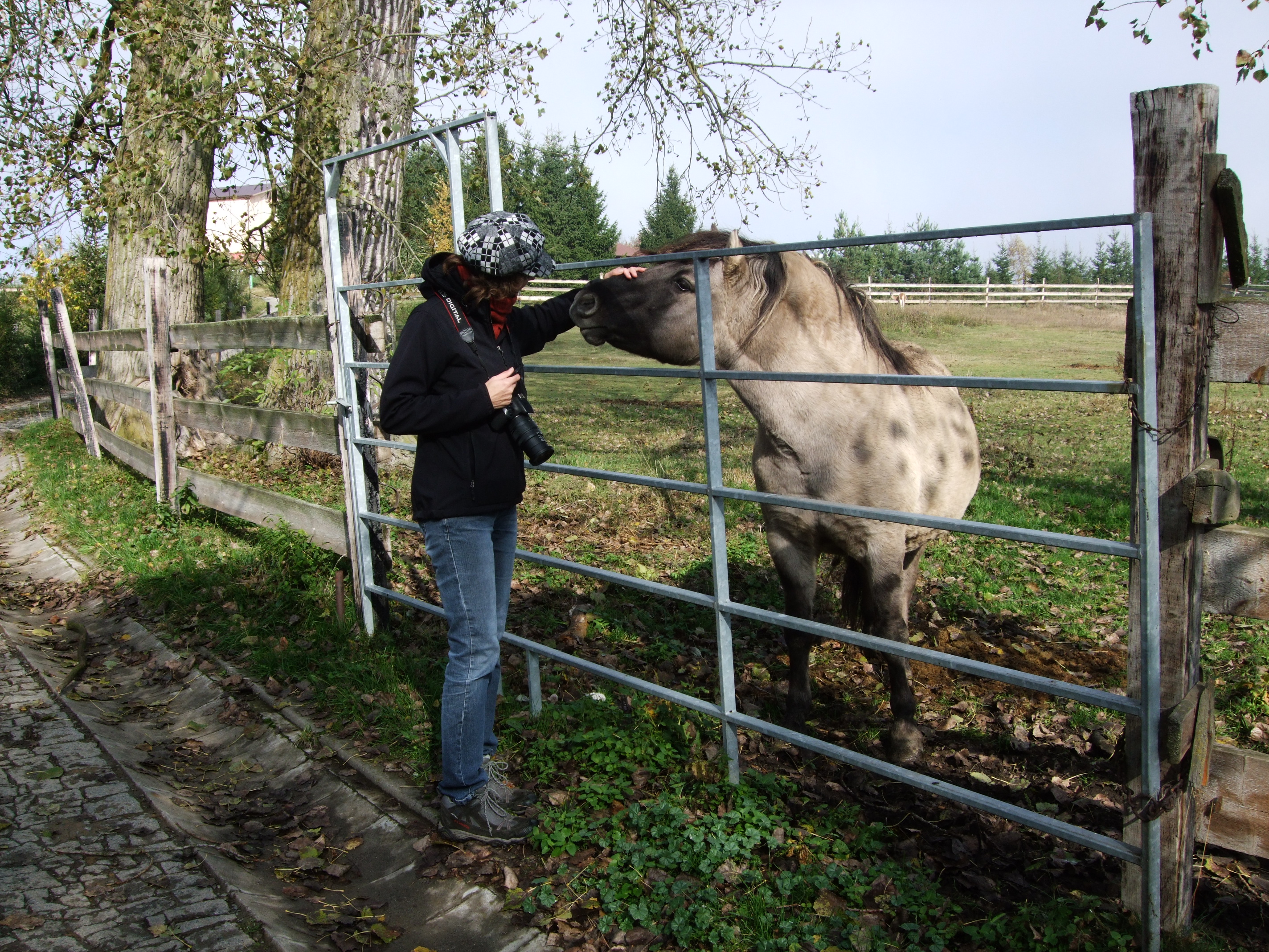 Ing. Jiří Tetzeli - NORD foto 3