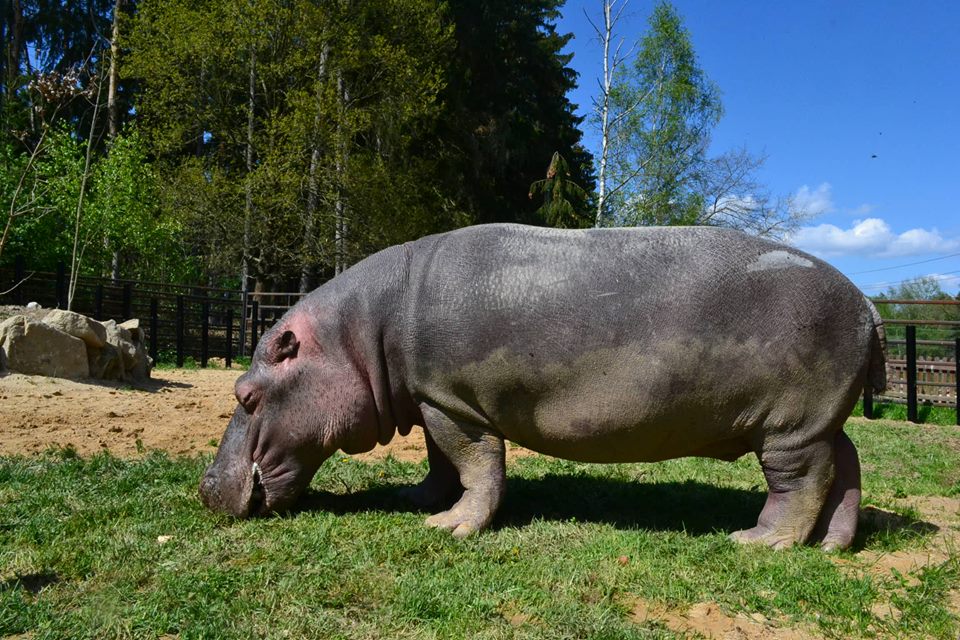 Zoologická zahrada Dvorec foto 3