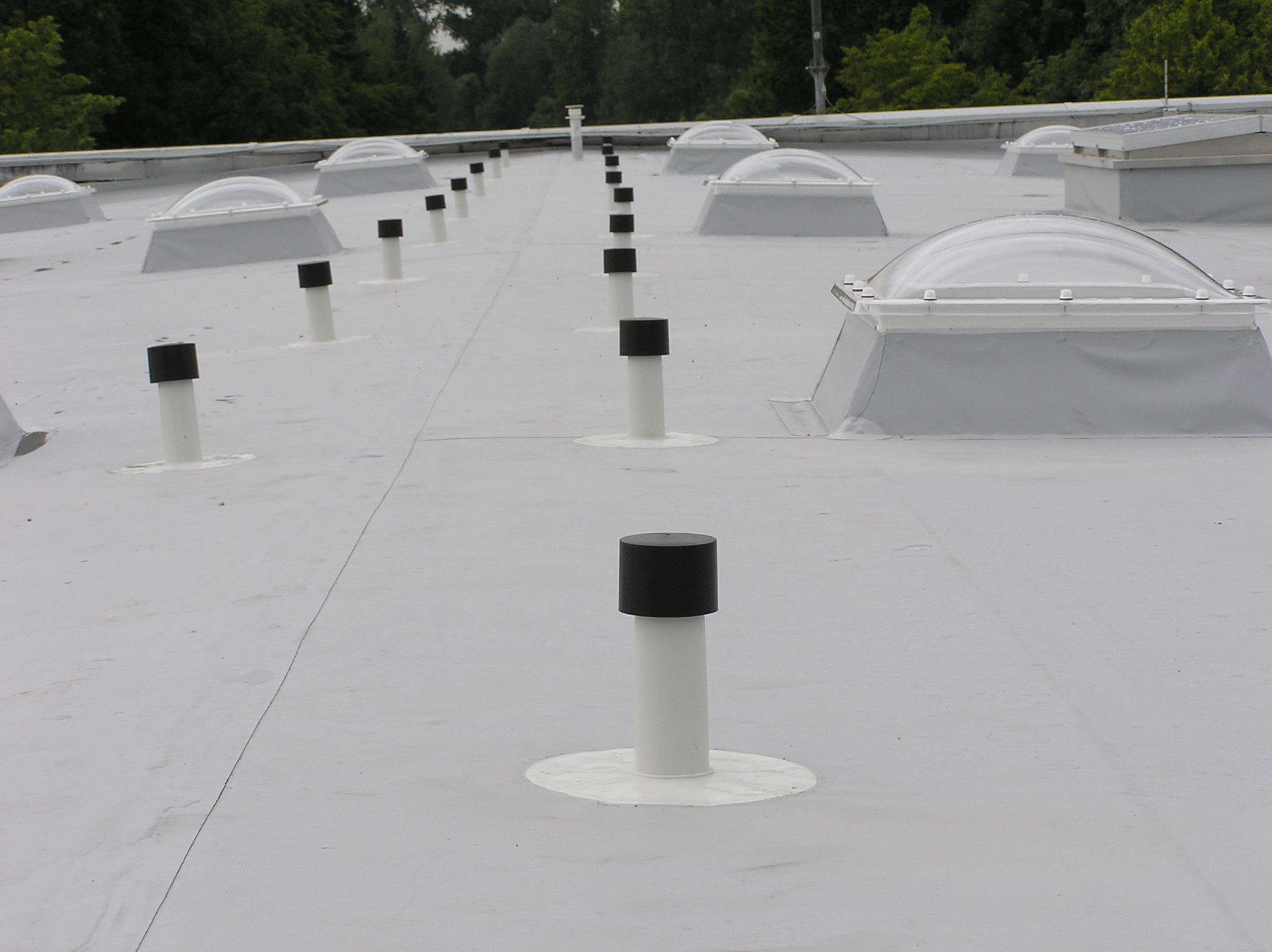 Alcedo PSV s.r.o. foto 4