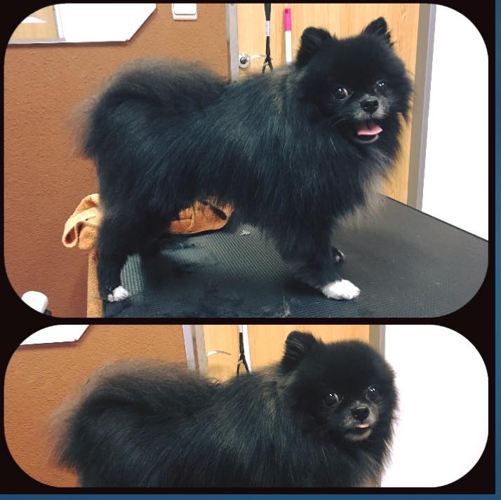 Dominika Kasíková foto 3