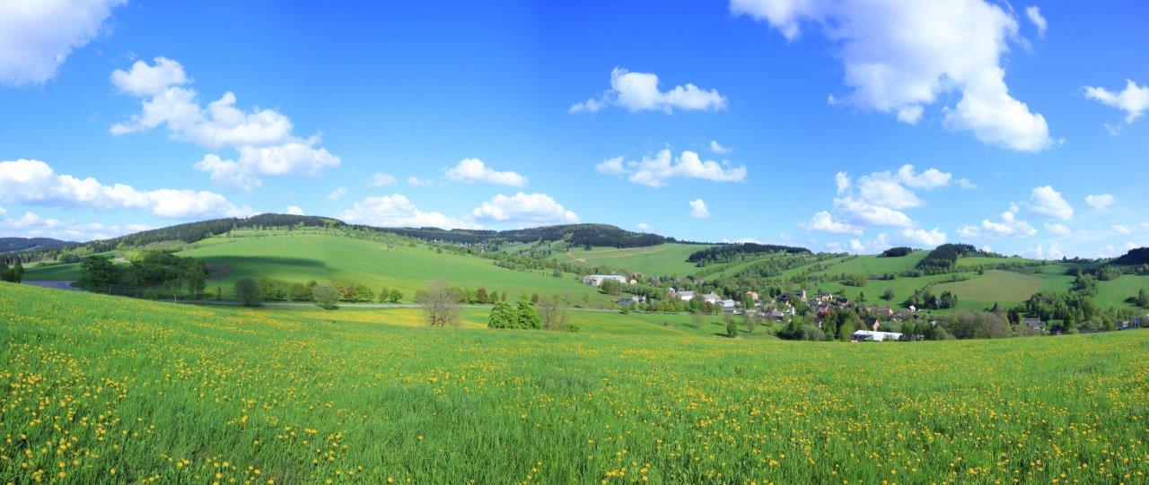 Pozemky Čenkovice foto 2