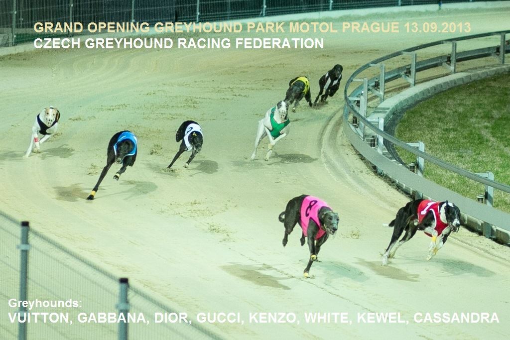 Greyhound Park Motol foto 6