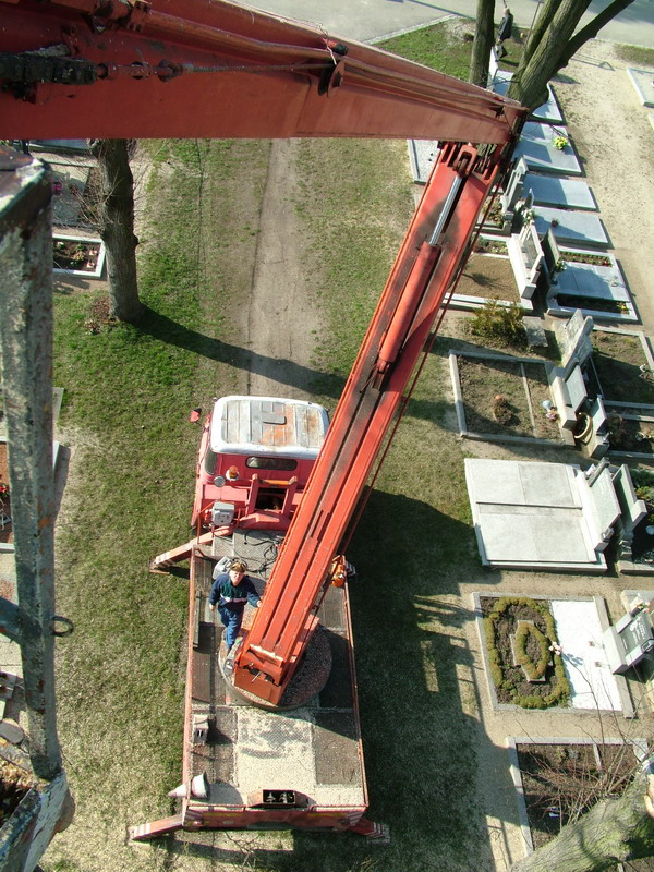 RIKAST - rizikové kácení stromů foto 3