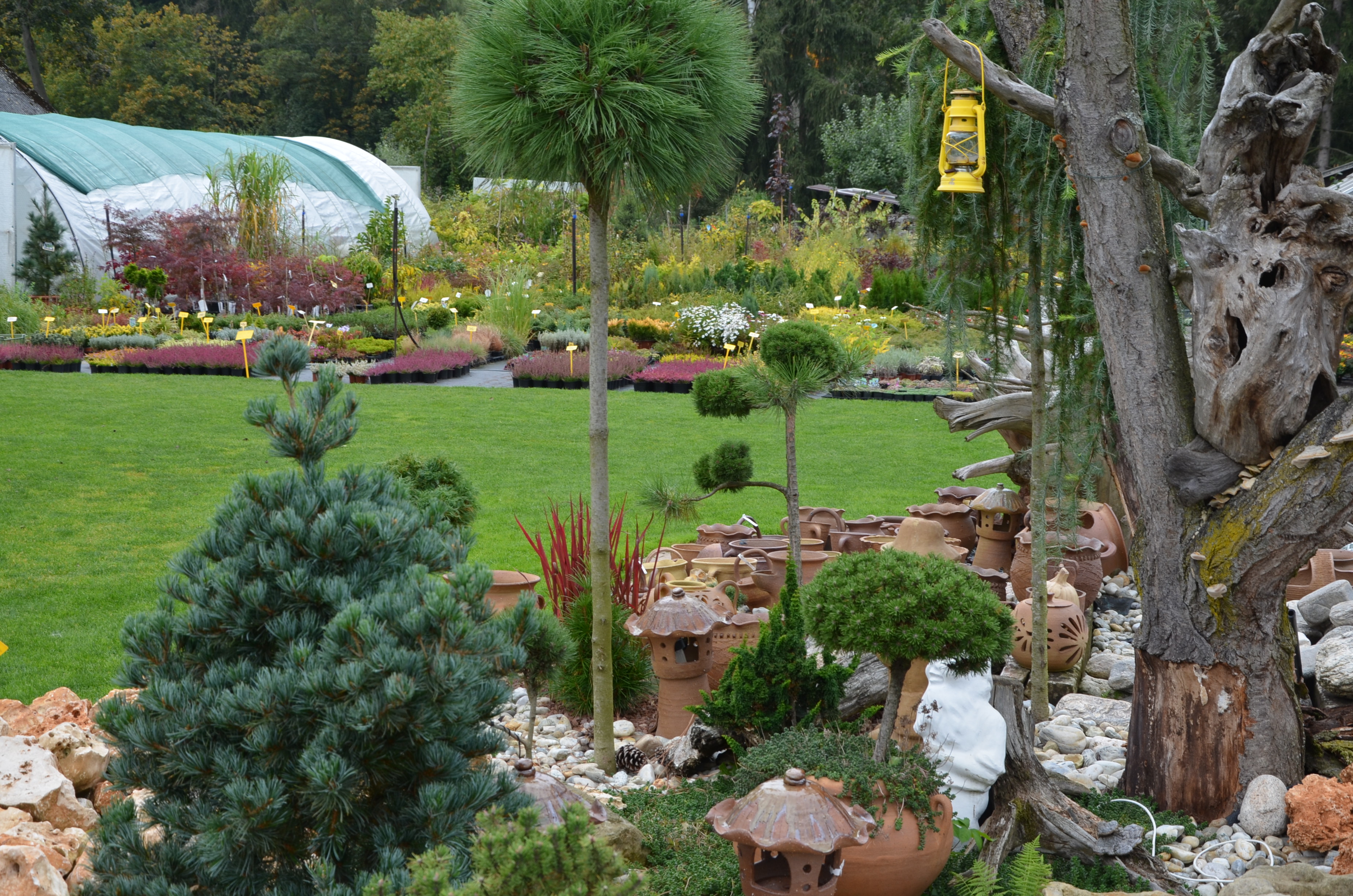 Zahradnictví na Barvínkově