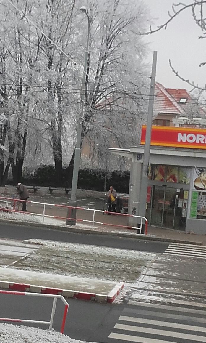 NORMA foto 2