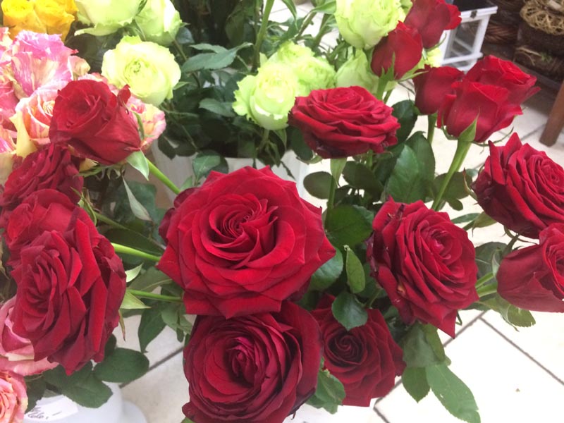 Květiny Lenka Skořepová foto 3