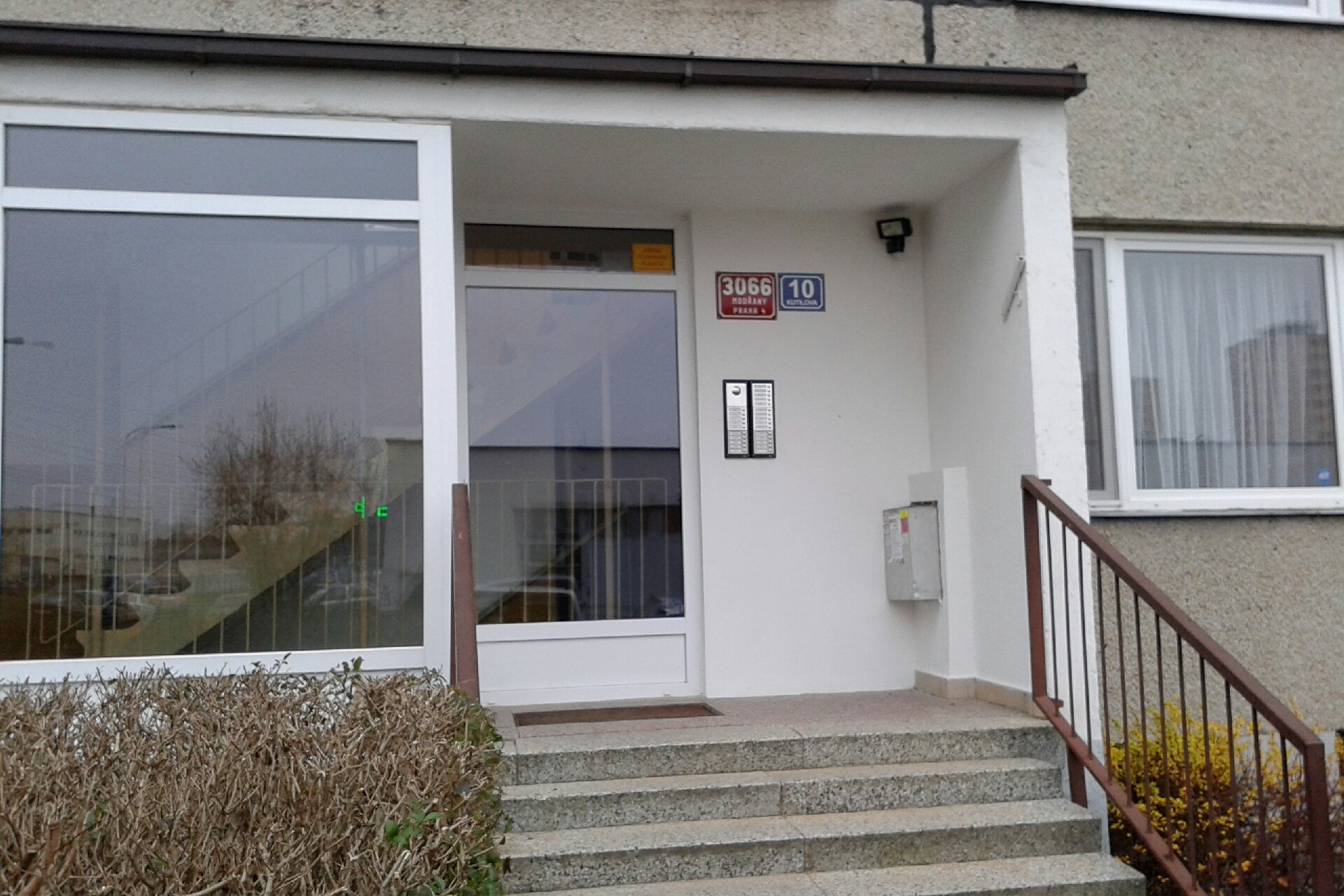 Helena Košíčková