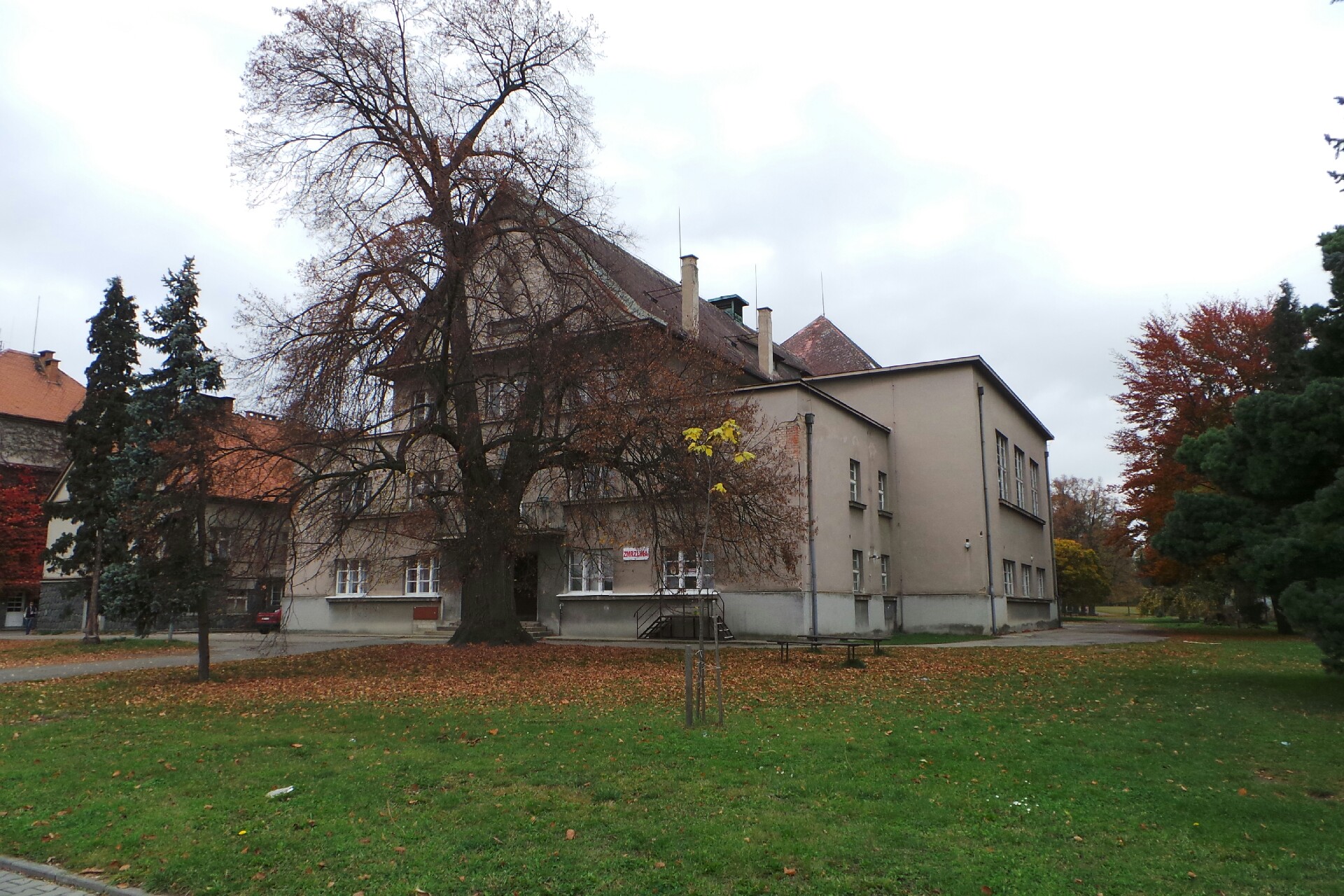 Tělocvičná jednota Sokol Roveň foto 2