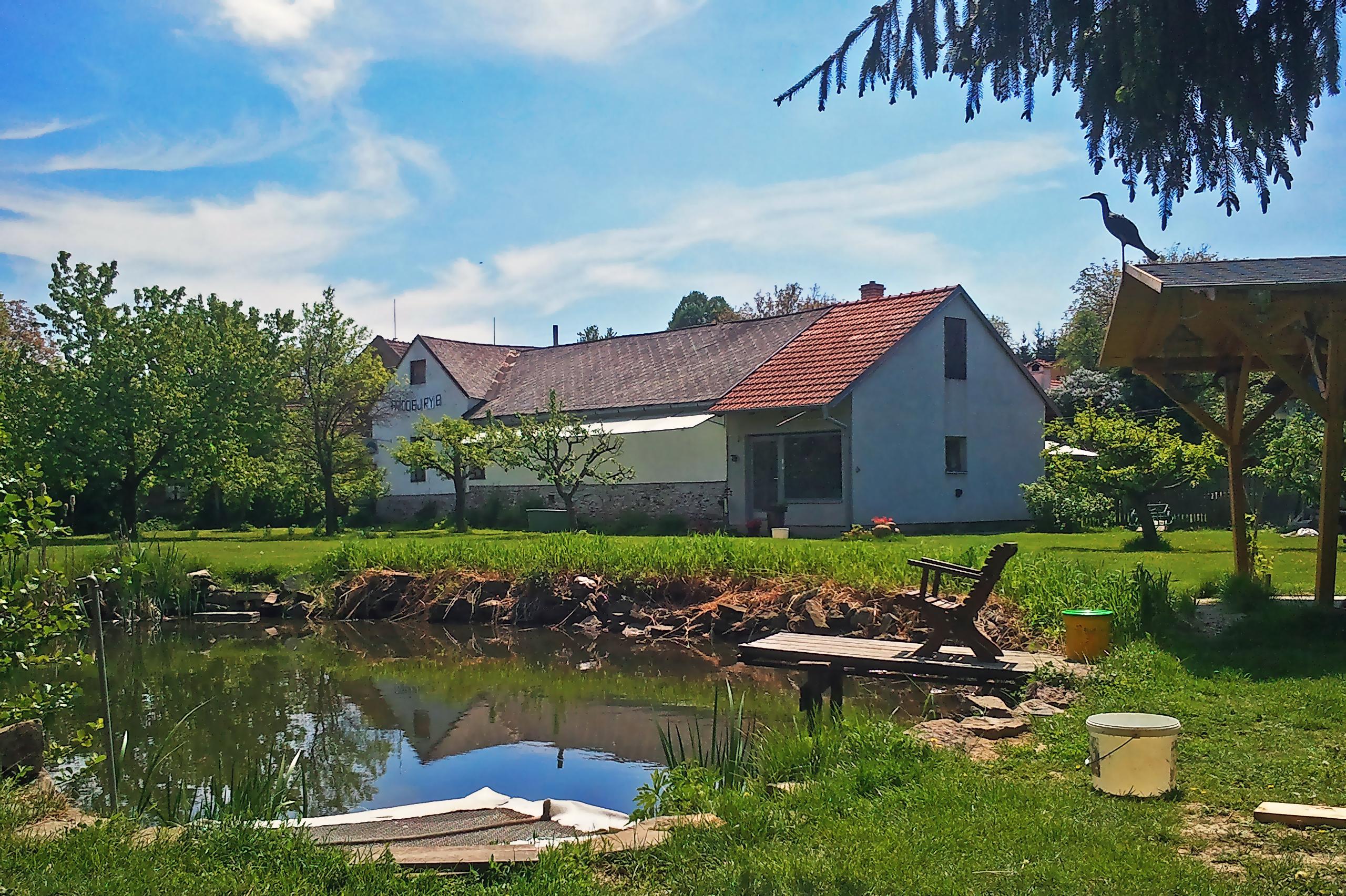 Antonín Srna, Prodej ryb Pístovice