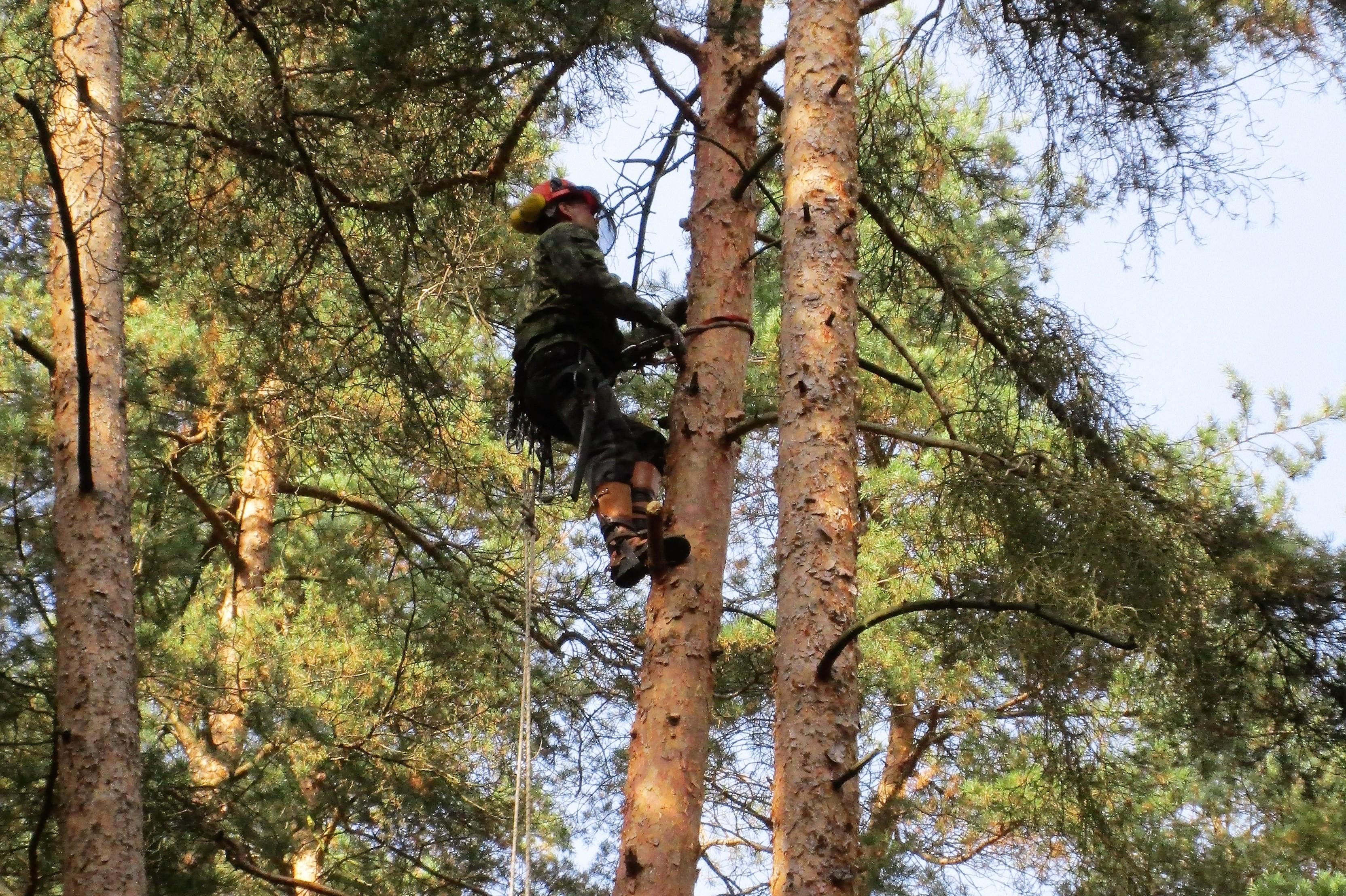 Výškové práce Martin Kolář foto 1