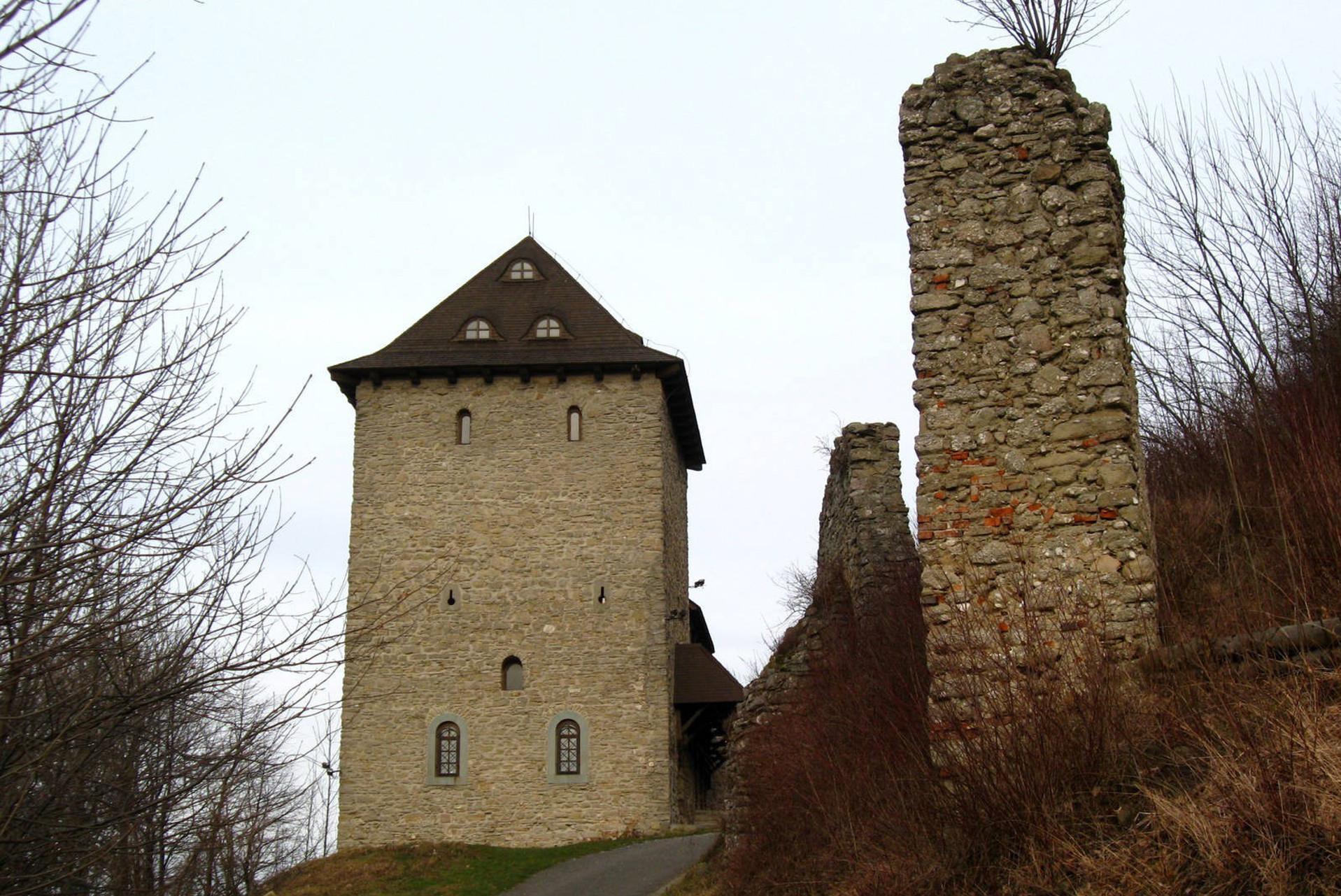 Hrad Starý Jičín