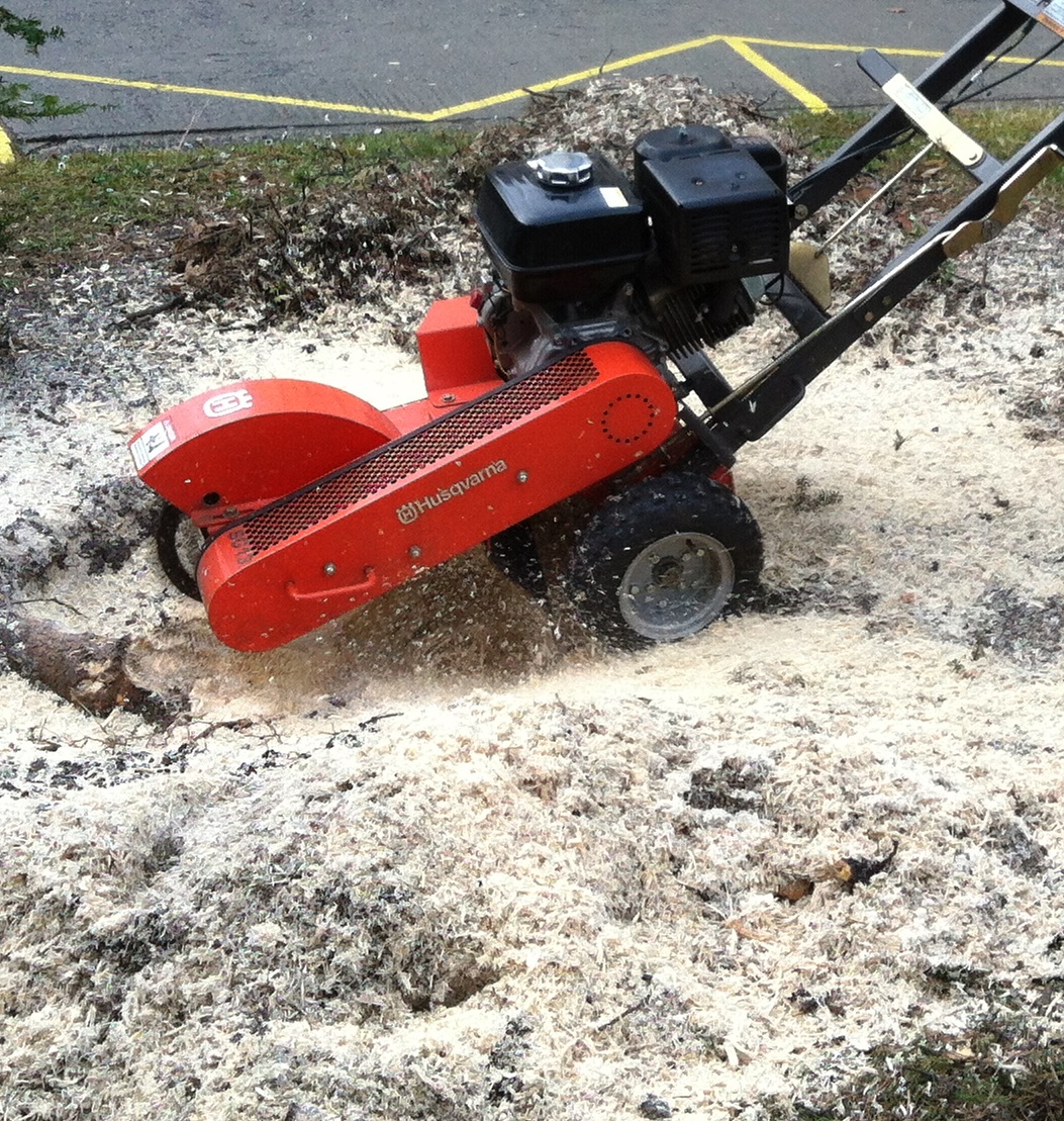 Péče o stromy a zeleň Petr Křivánek foto 3
