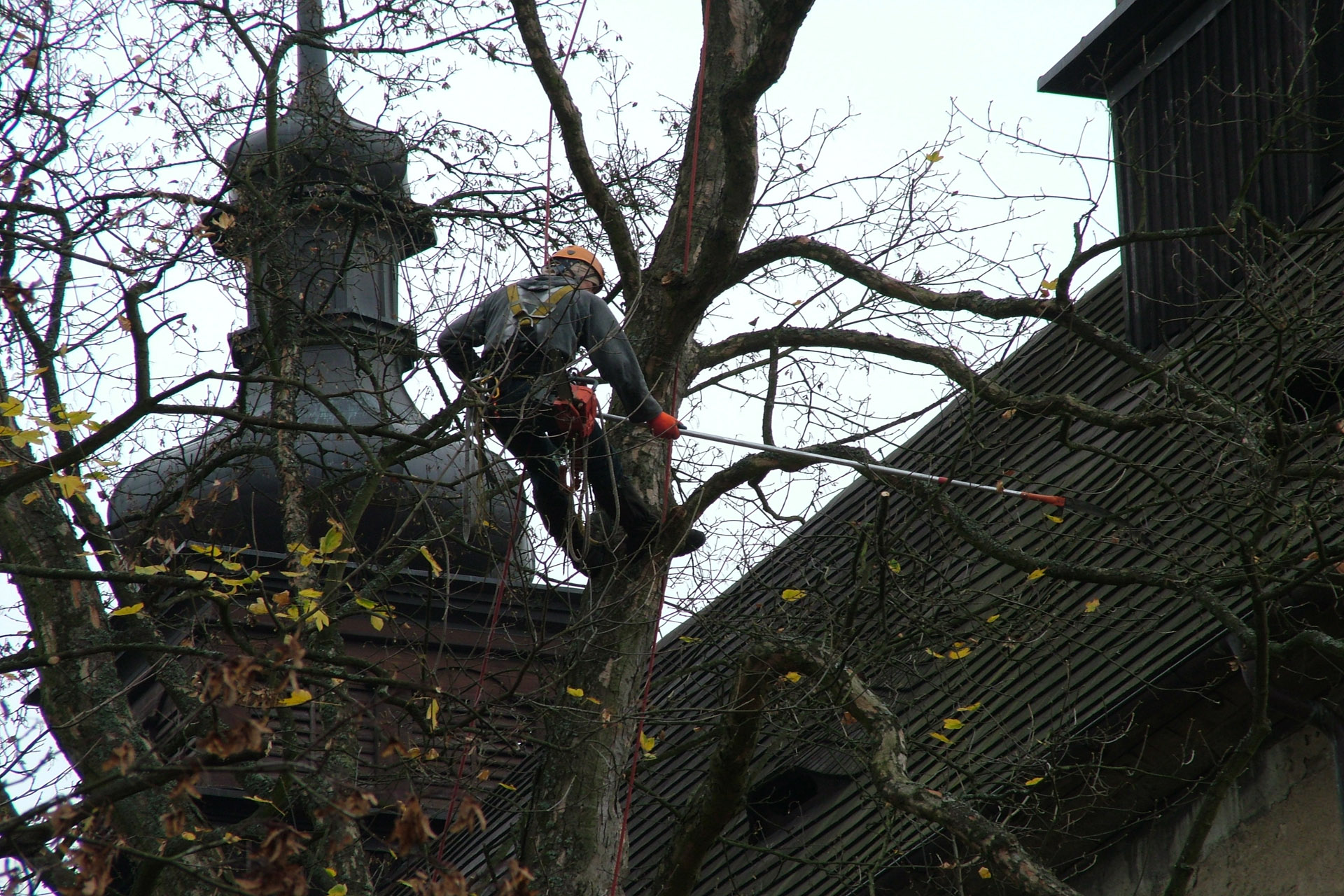 Zahradnictví Pohled