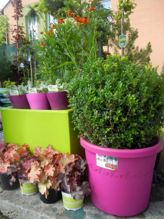 Ing. Lenka Vašíčková - Zahradní a stavební architektura foto 3