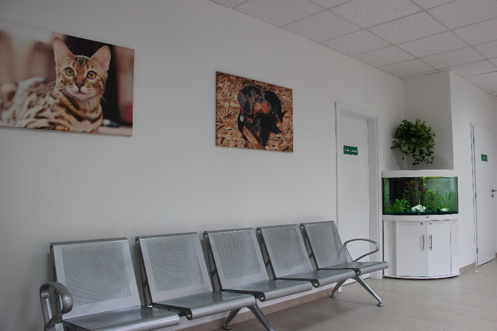 Veterinární klinika Delta MVDr.Michael Růžička, s.r.o. foto 3