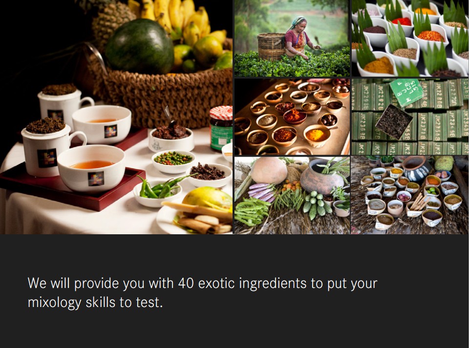 Cejlonský čaj - Ing. Zdeněk Přikryl foto 4