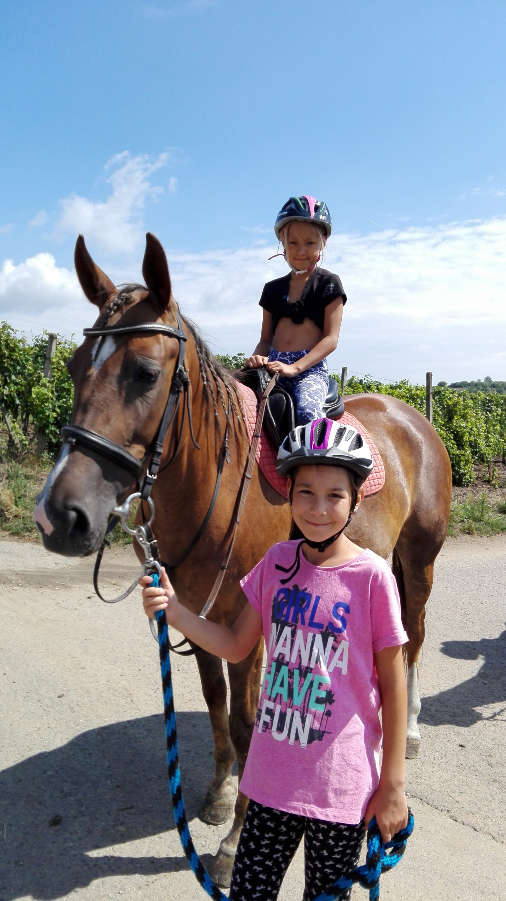 Stáj Mezi vinohrady foto 4