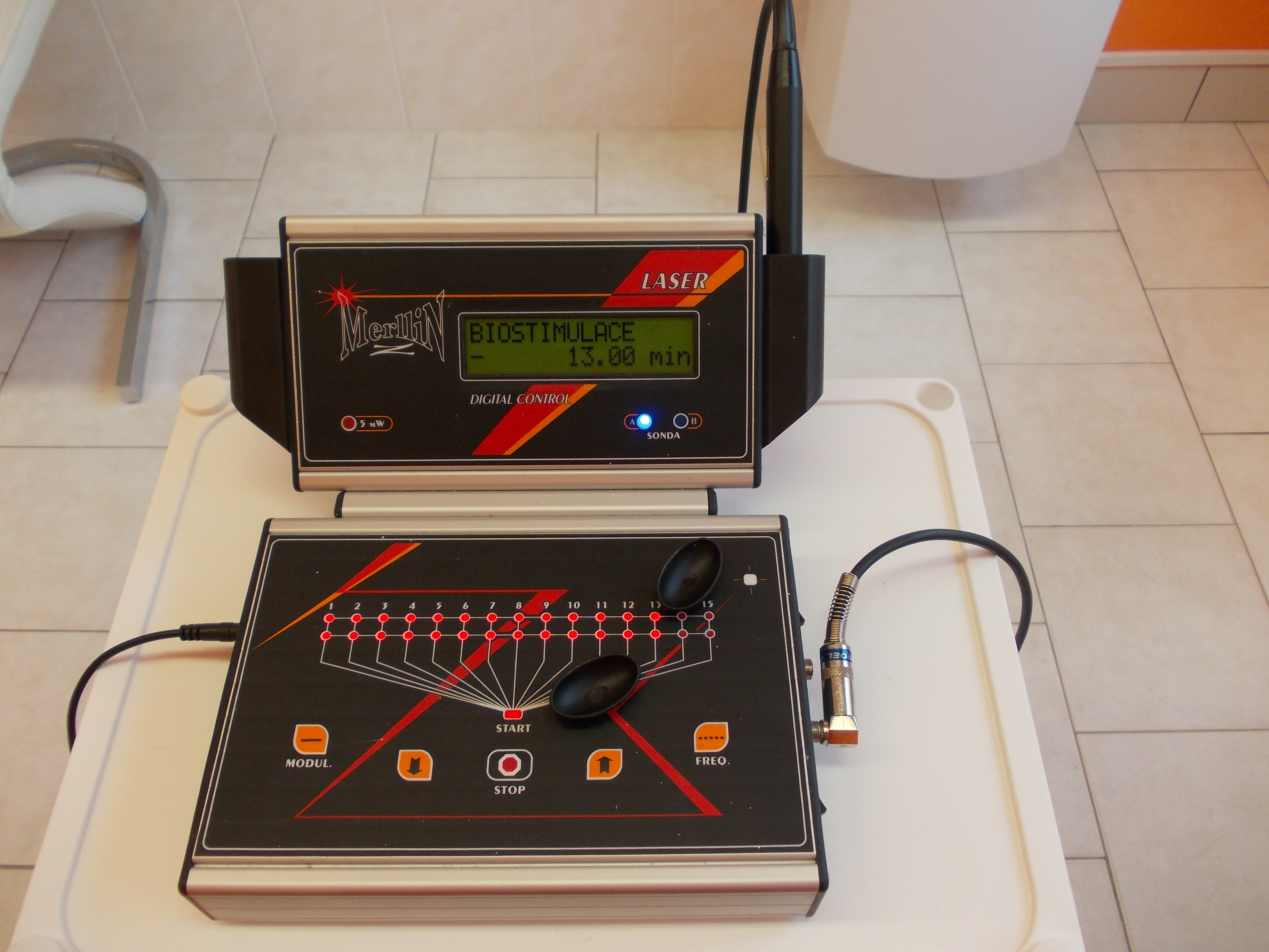 Světlana Dvořáková foto 2