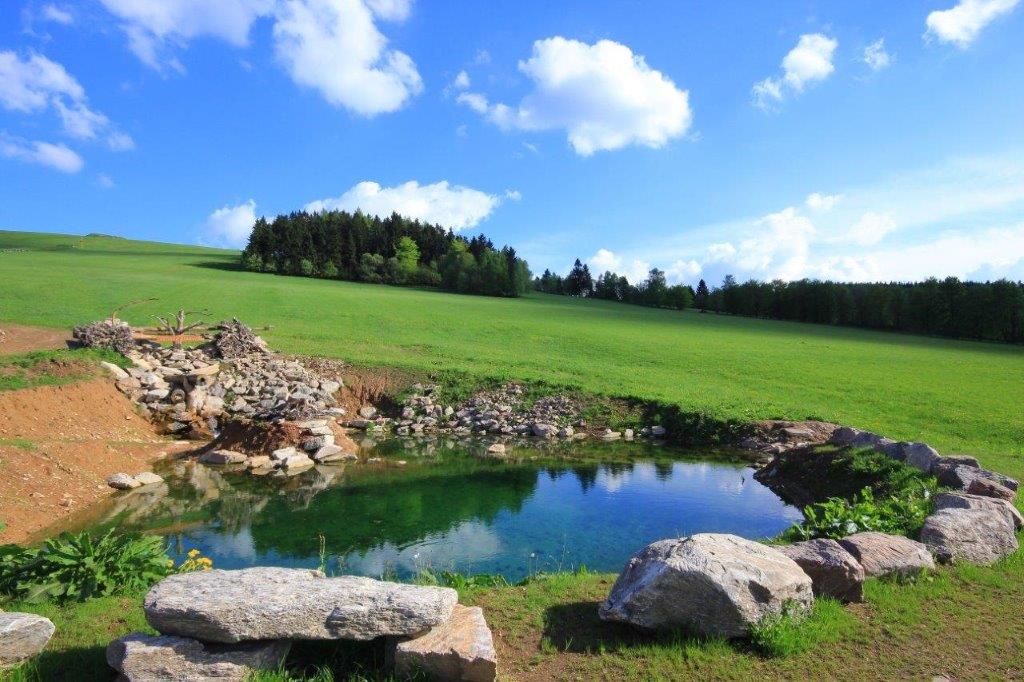 Pozemky Čenkovice foto 5