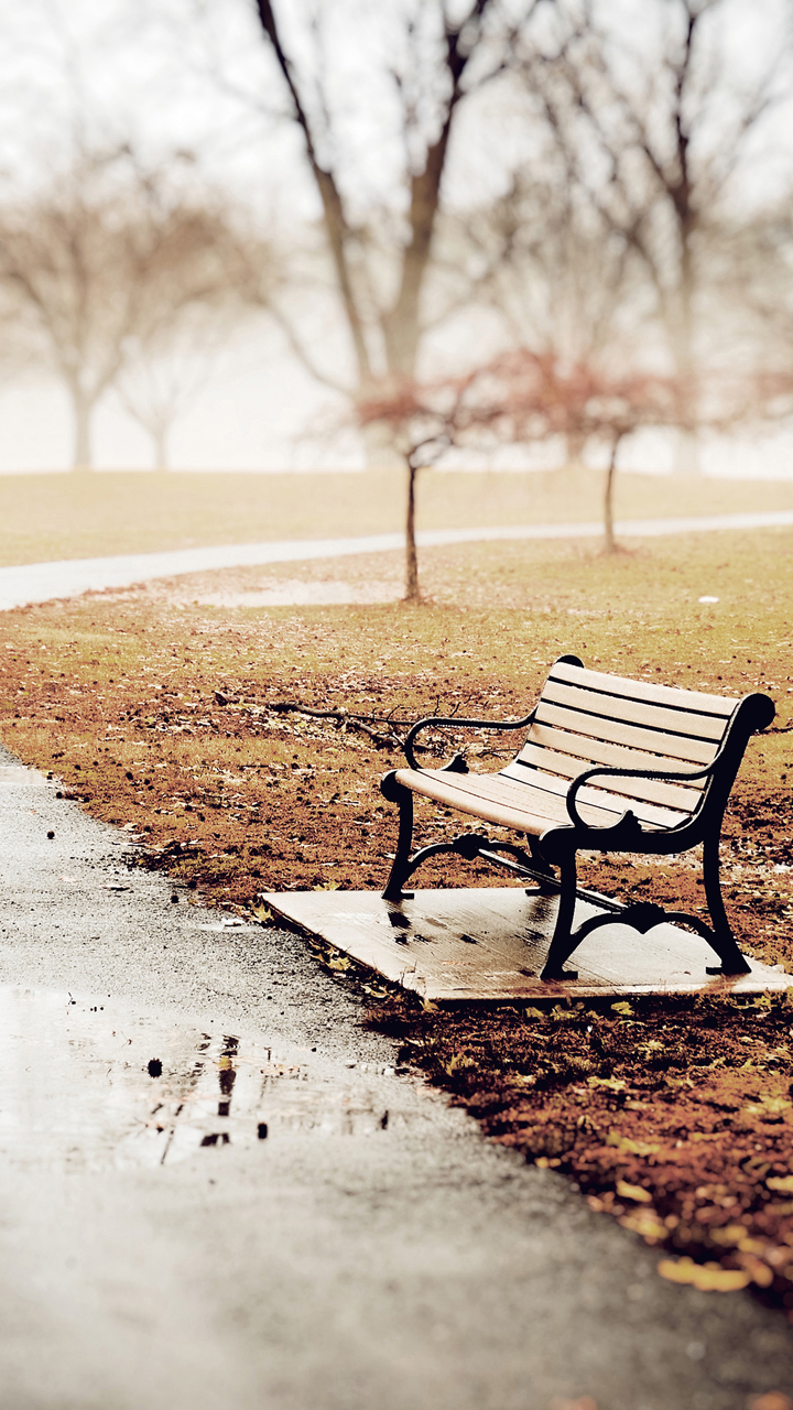 Restaurace V Růžové zahradě foto 3