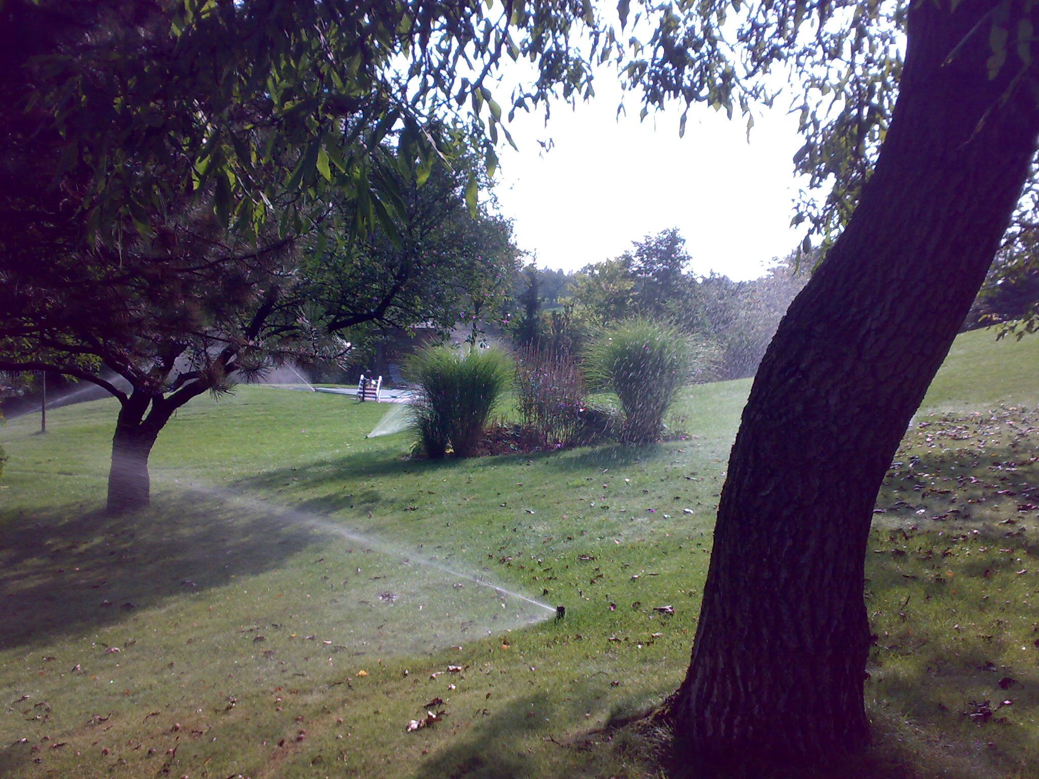 Petr Třeštík - Sprinkler System foto 4
