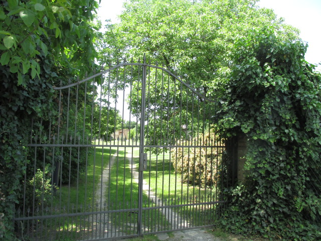 Canisterapeutické sdružení Jižní Morava foto 2