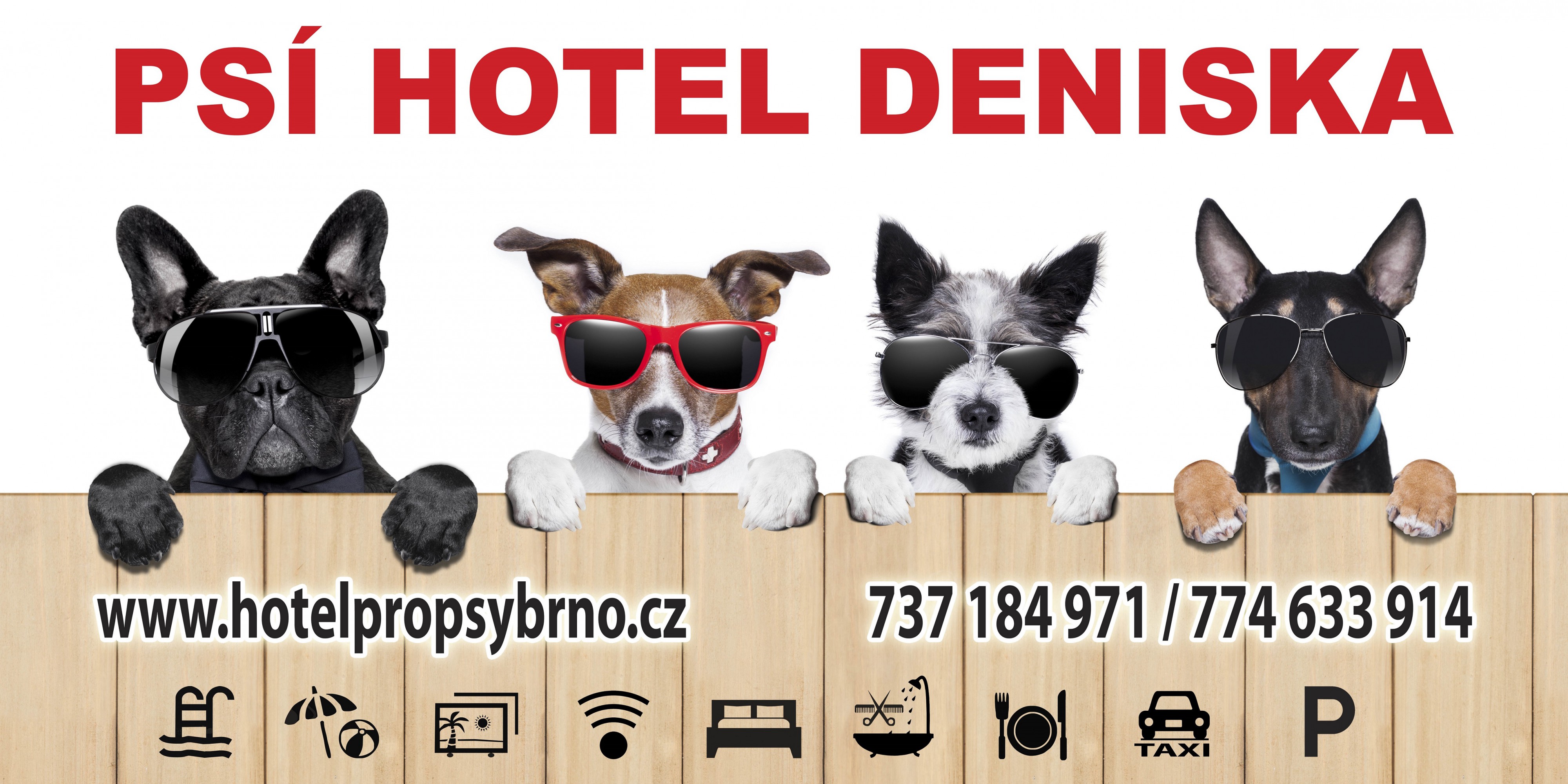 Psí hotel Deniska foto 2